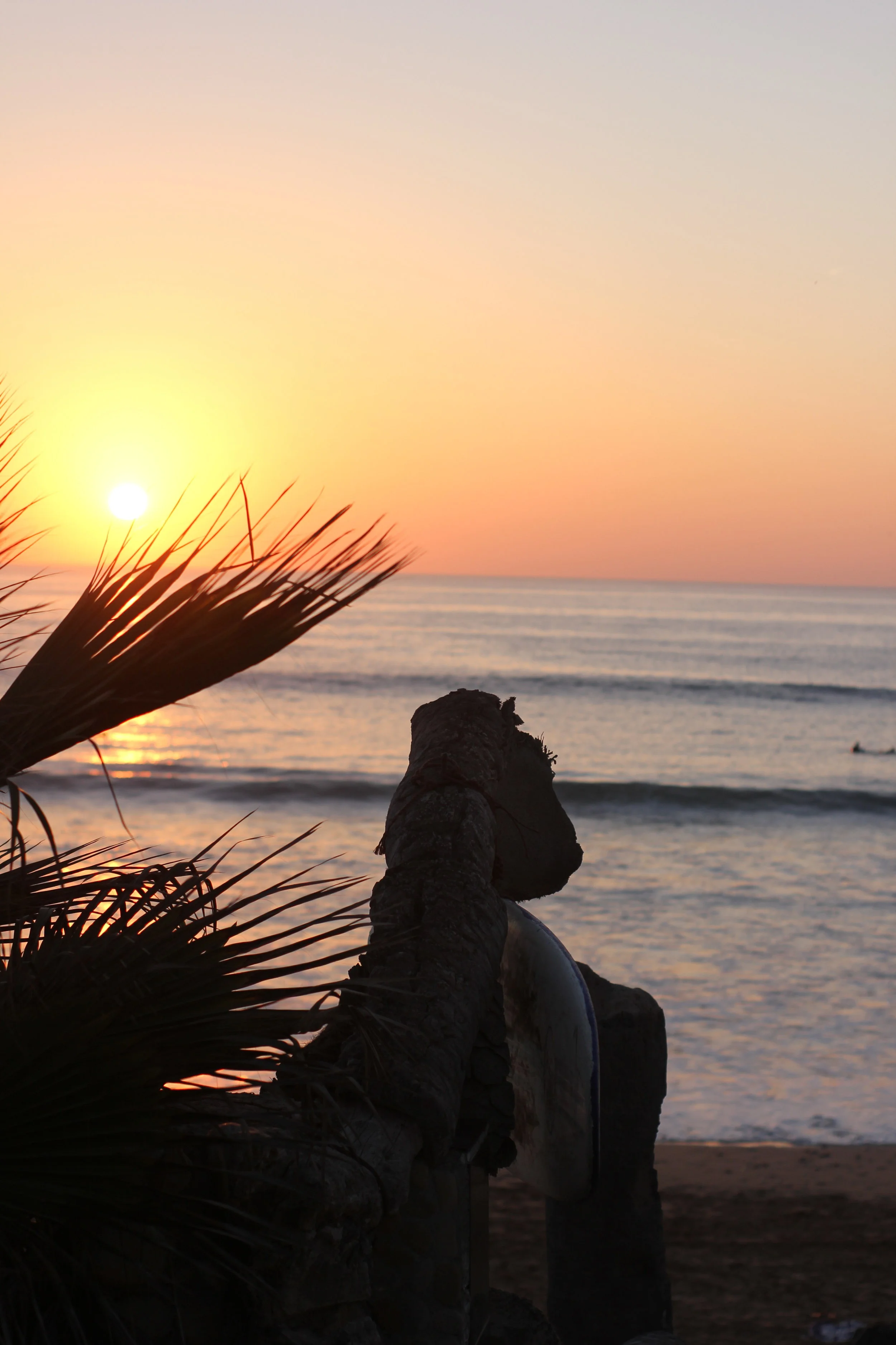 Shangri la, the surfers dream !