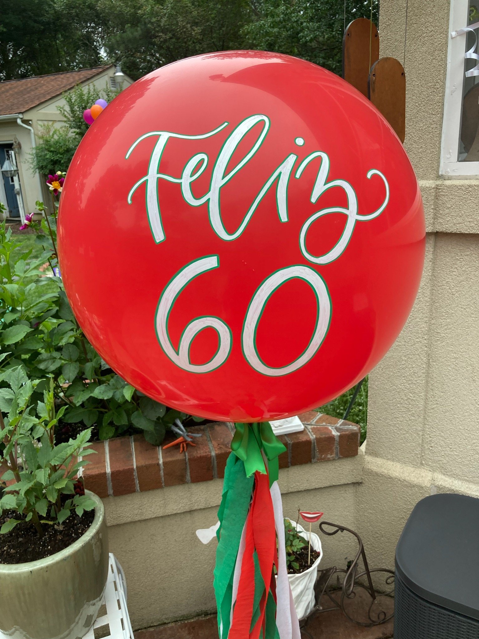 Balloon-Feliz60.jpg