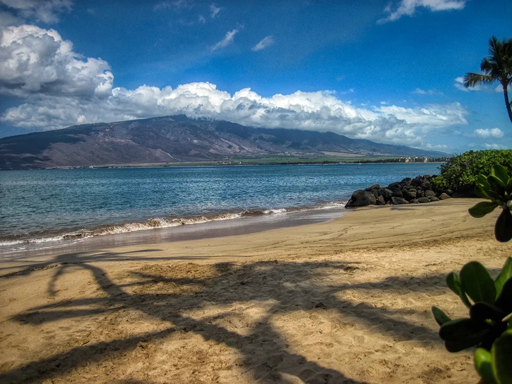 07_mauilu_06_canon.jpg