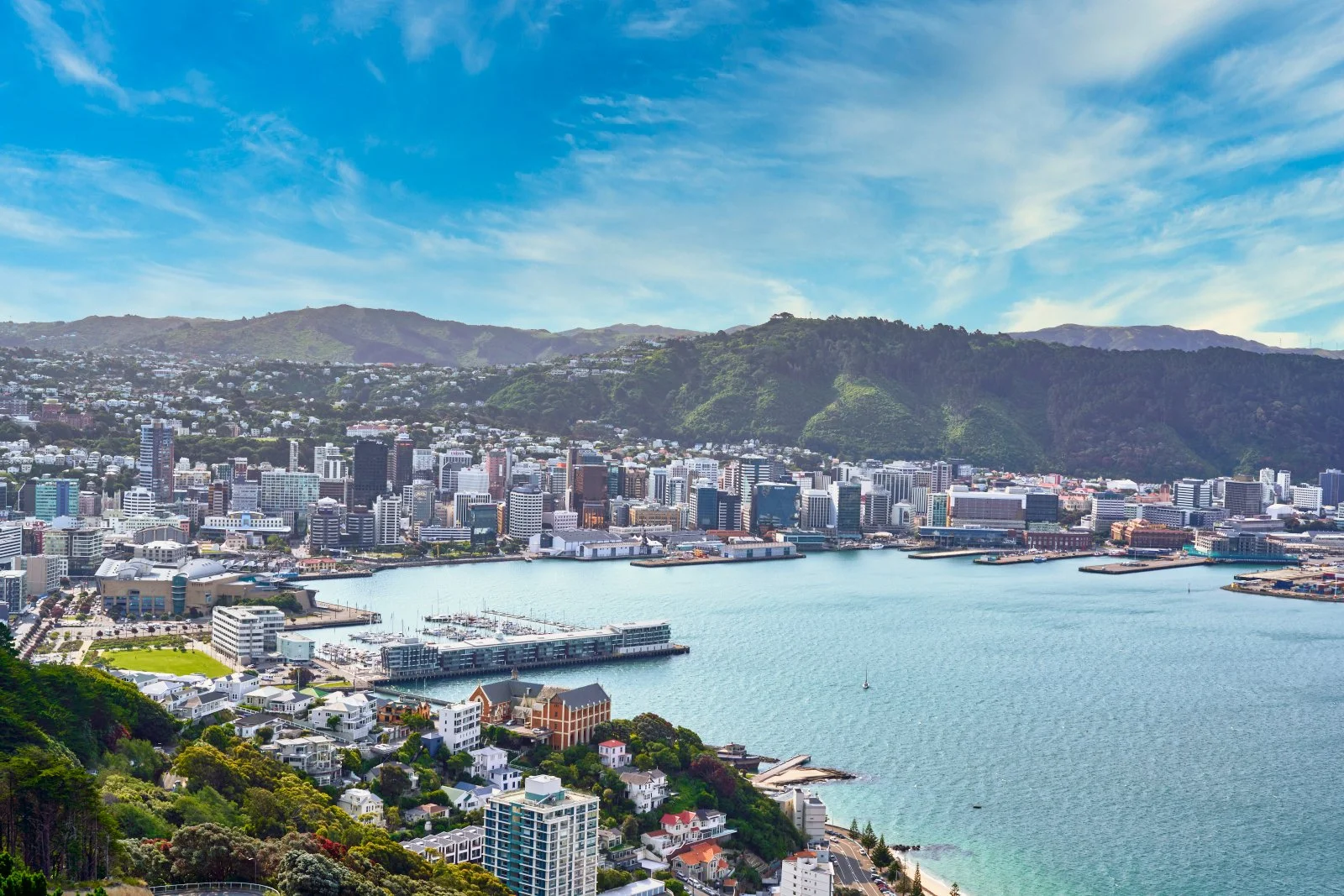 Wellington City Skyline, Capital City, New Zealand