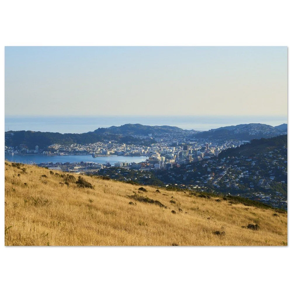 tmp-306-Pa12Ipo4oltP