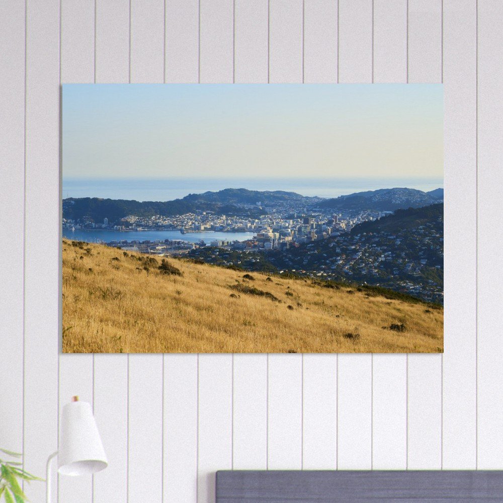 tmp-306-84KujFru9vyJ