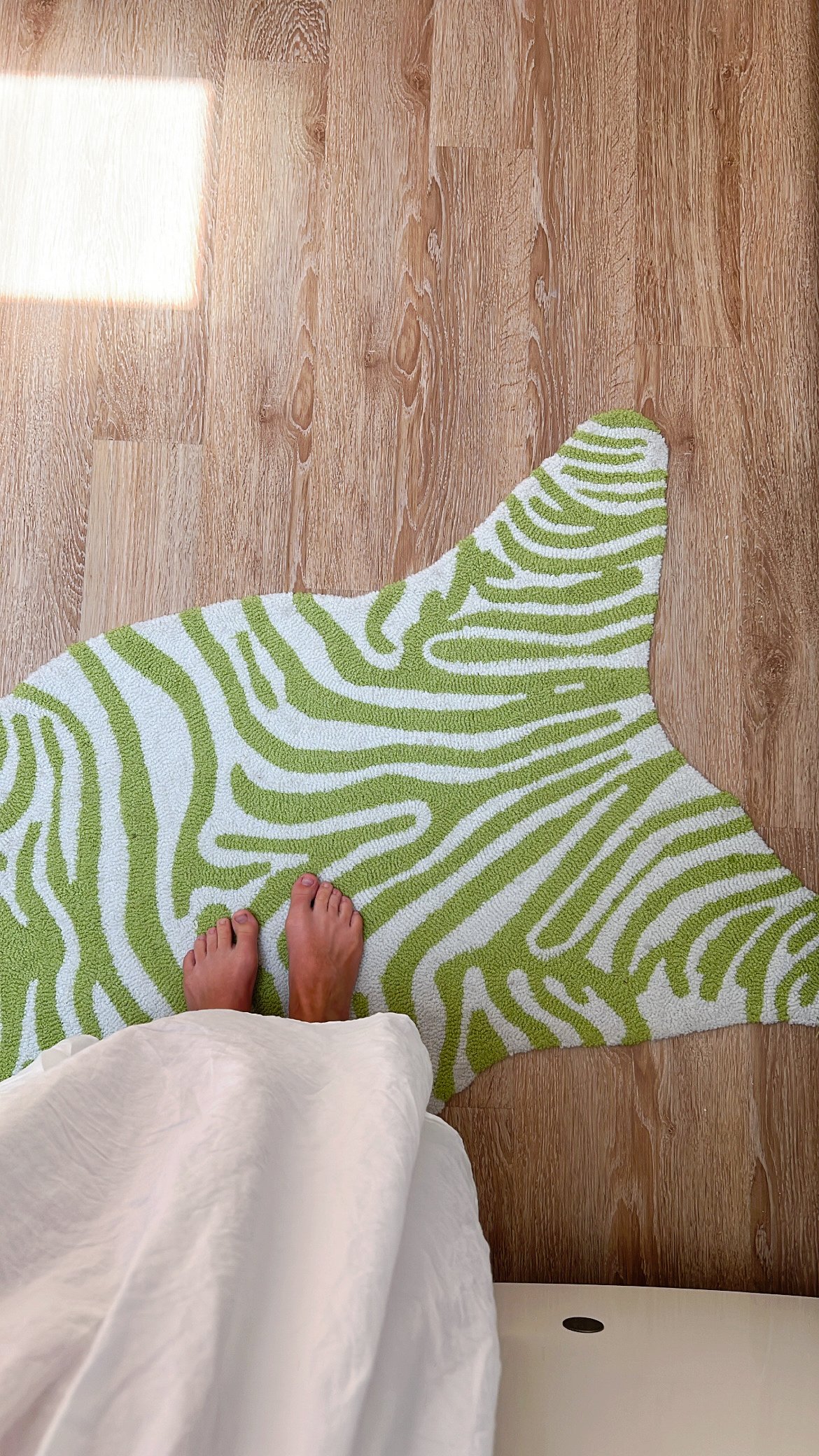 Zebra Rug