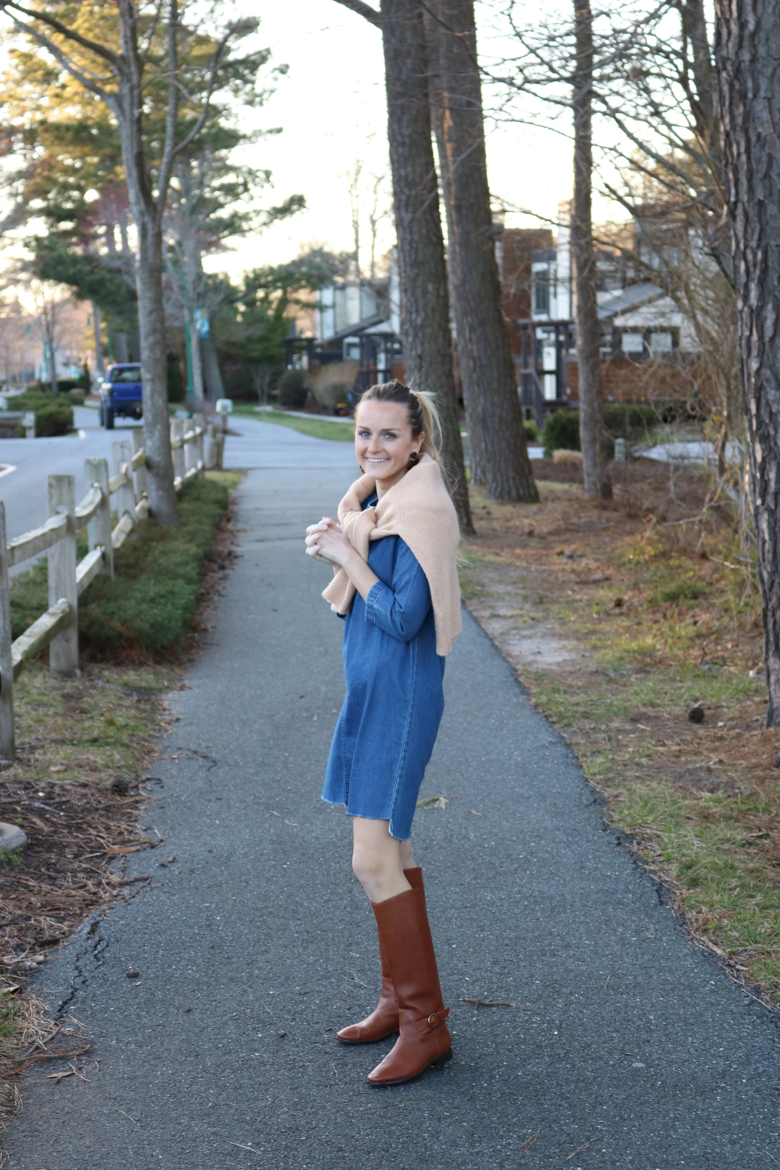 Denim Dress Roundup