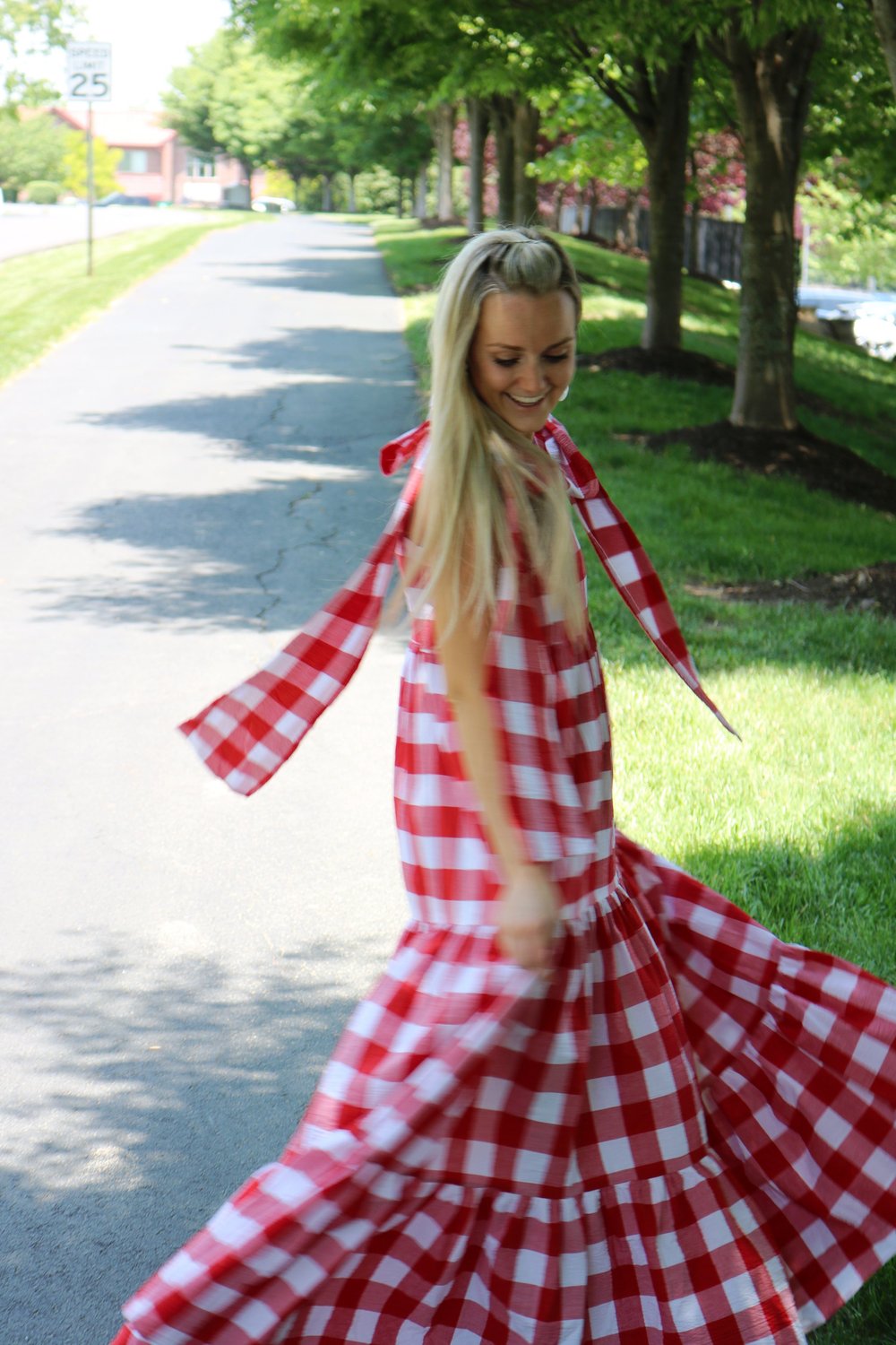 Red, White, & Blueberry Adventures Panel Dress