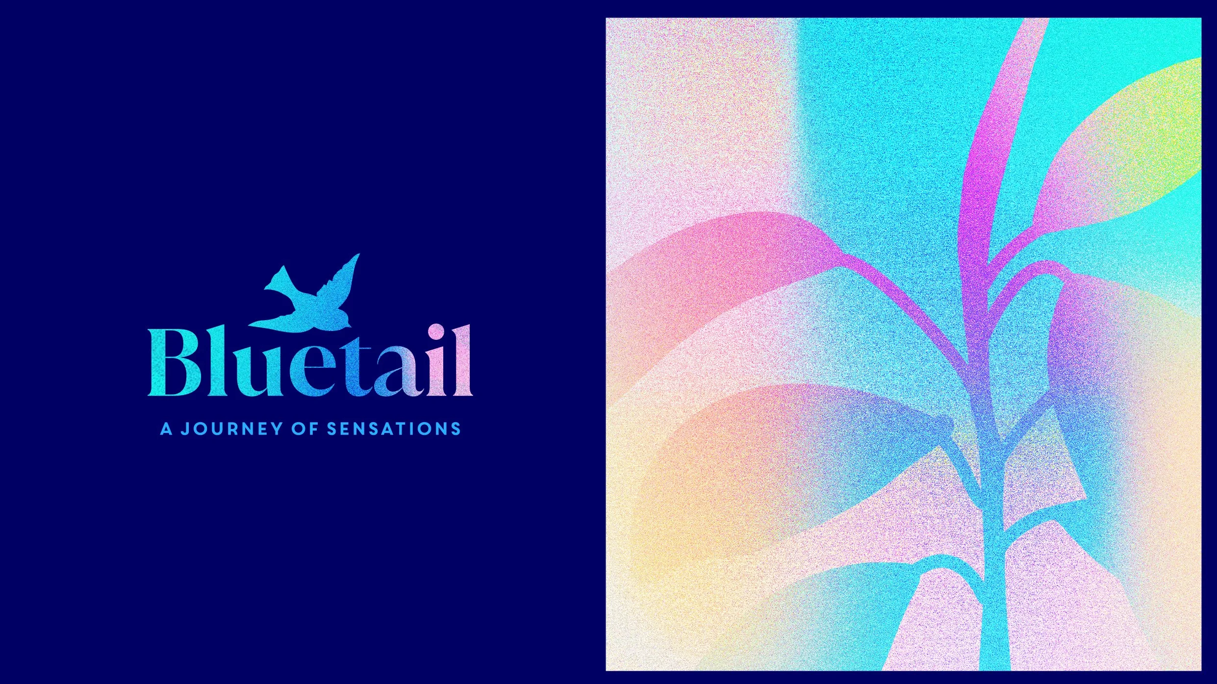PRES_BLUETAIL_SITE_03.jpg