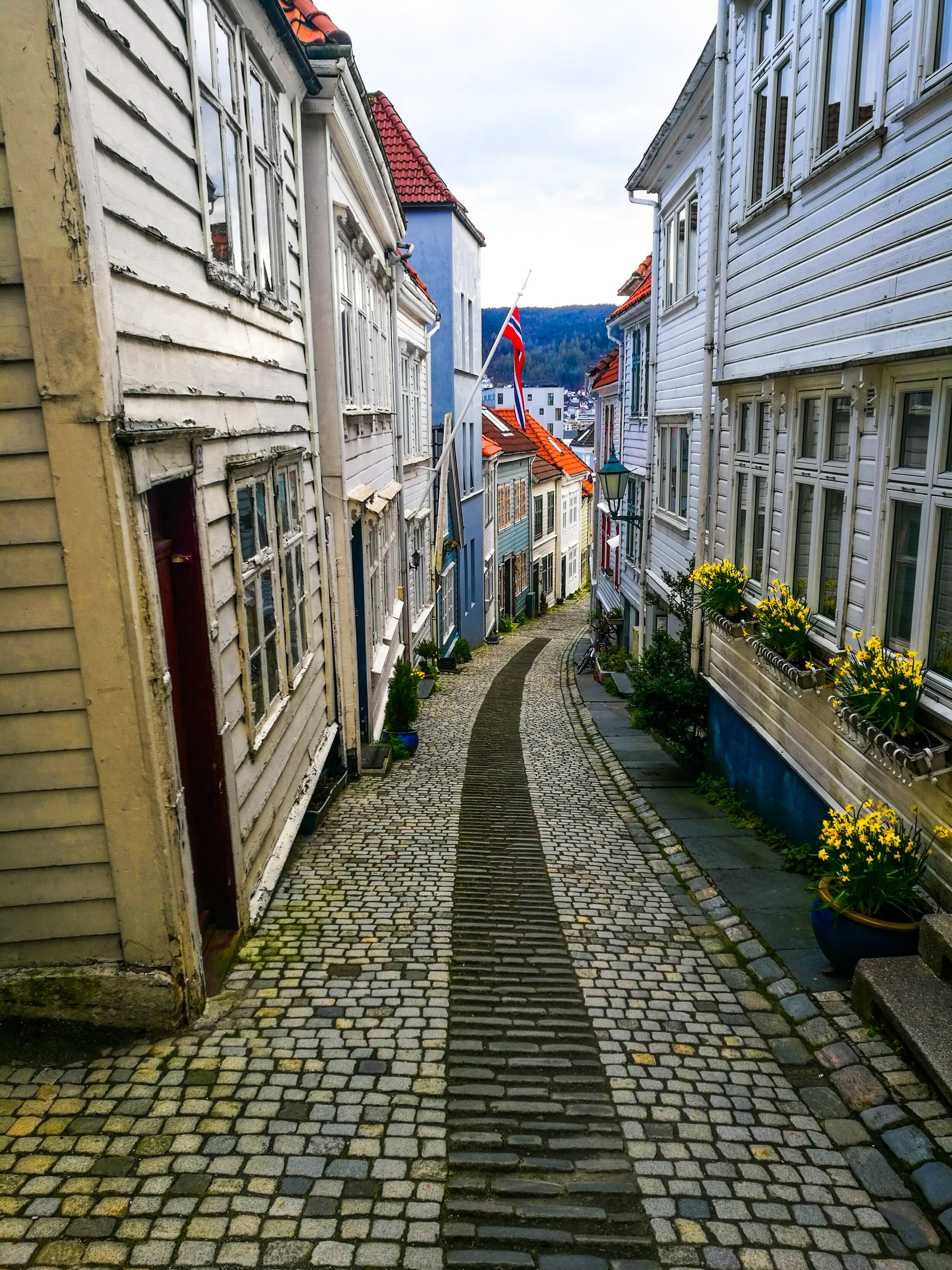 kamil-slusarczyk-zvyrLPZO_98-unsplash.jpg