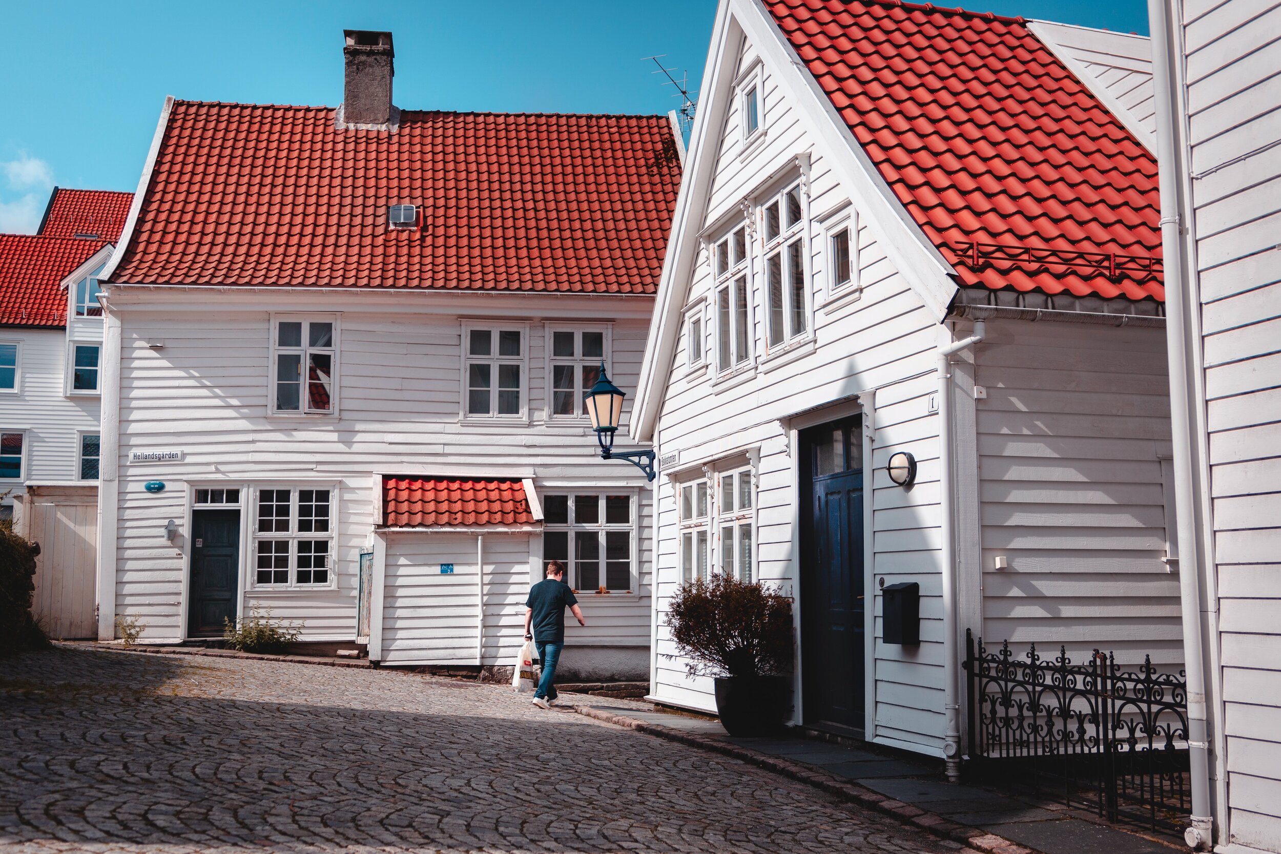lieuwe-terpstra-GTSd5HHZTZ8-unsplash.jpg