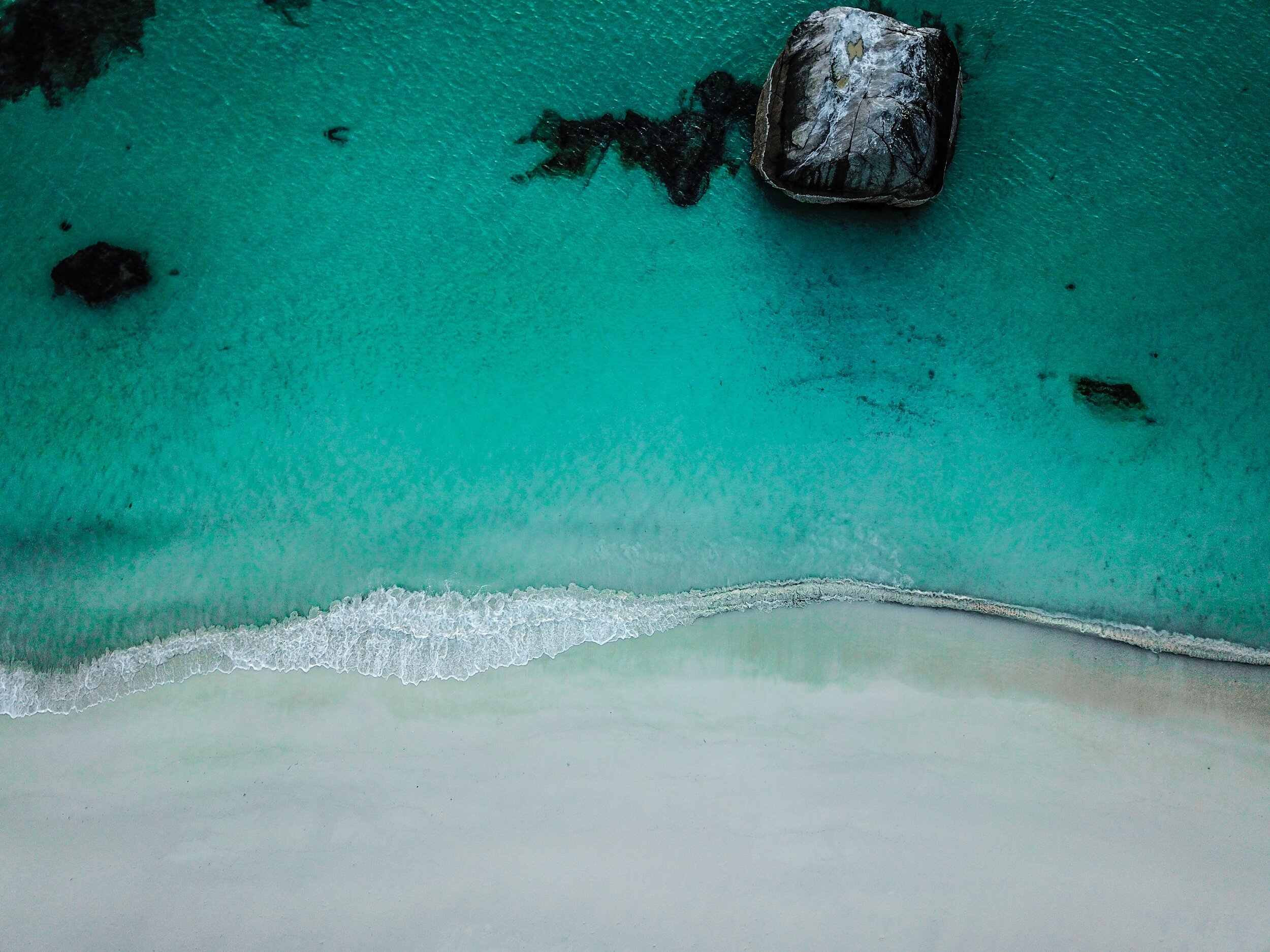ferdinand-stohr-LTa4Si6TjoM-unsplash (1).jpg