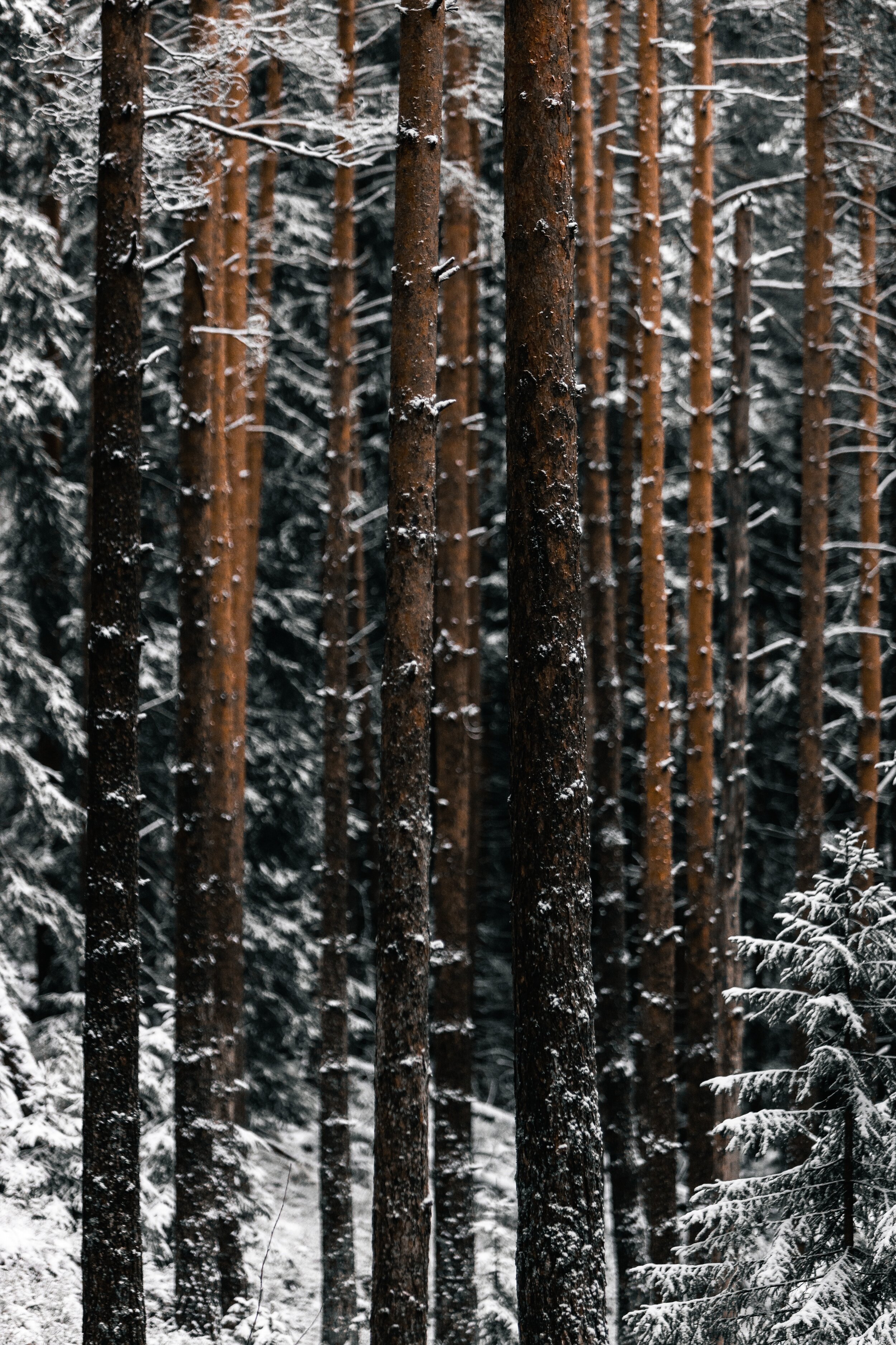 yngve-windsland-2ndWY_ToGS0-unsplash.jpg