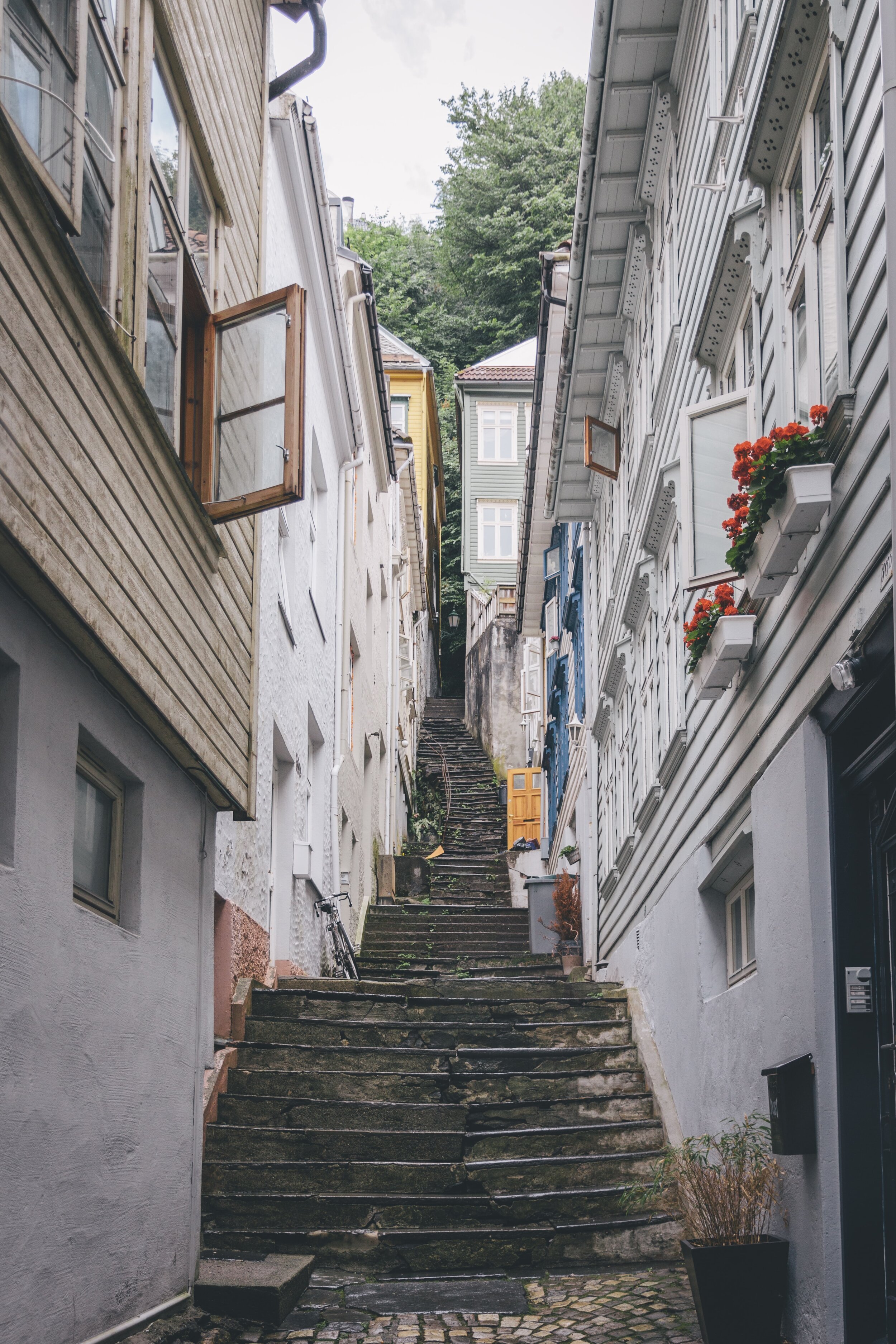 tomas-eidsvold-rqi-hnjmL5c-unsplash.jpg