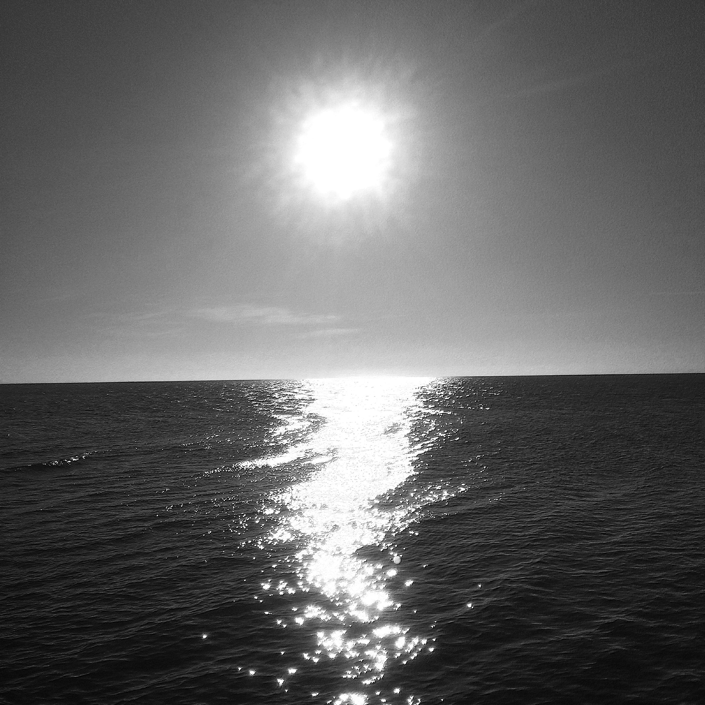 IMG_7860.jpg