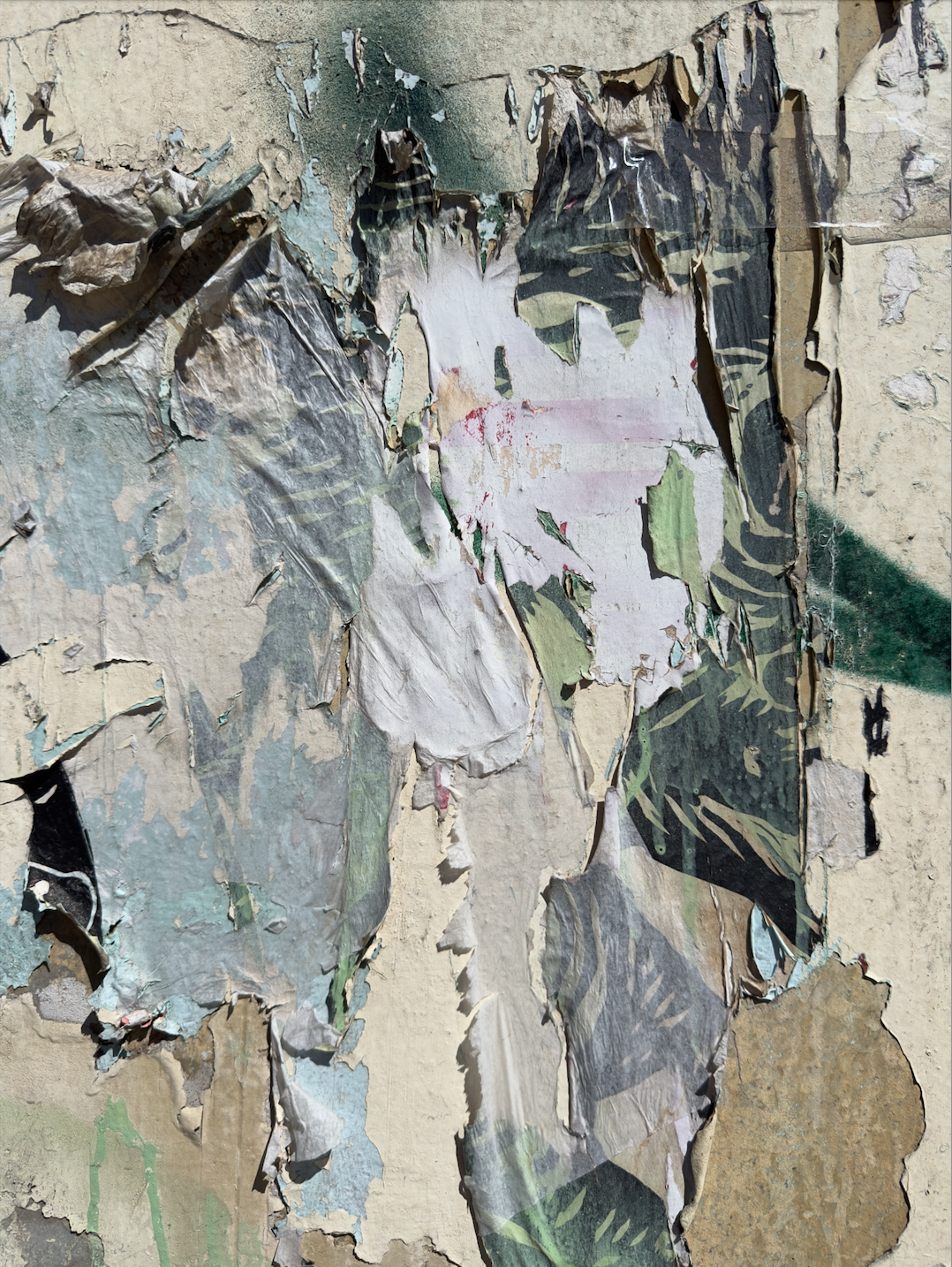 Screenshot 2025-01-25 at 3.14.49 PM.png