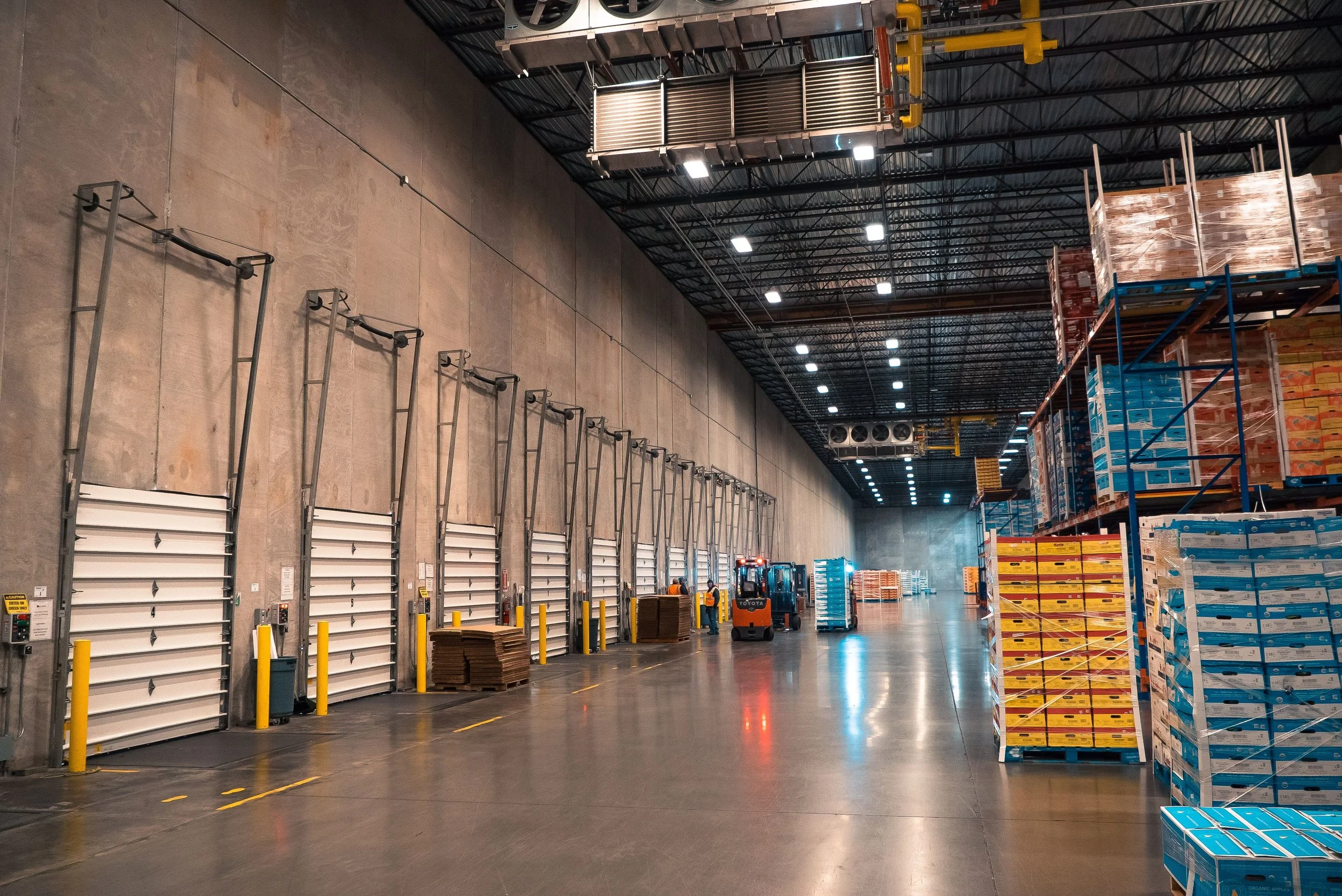 Project: McDougall &amp; Sons | Food Processing &amp; Cold Storage, Freezers