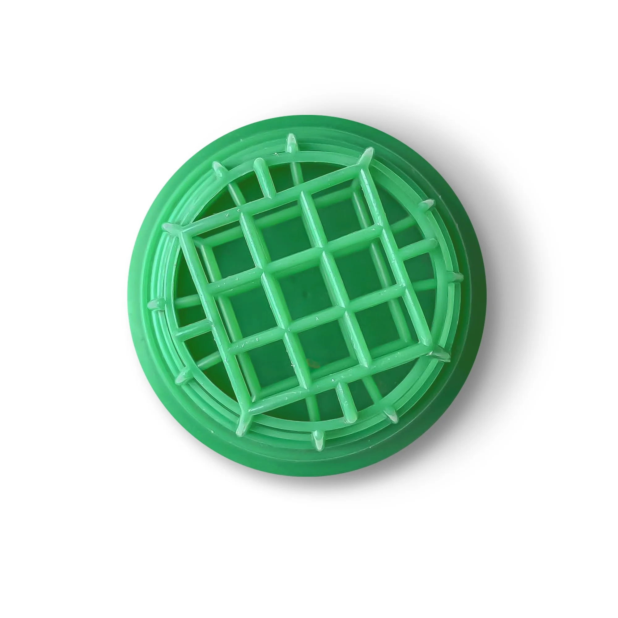 SL_GREEN_FROG2.jpg