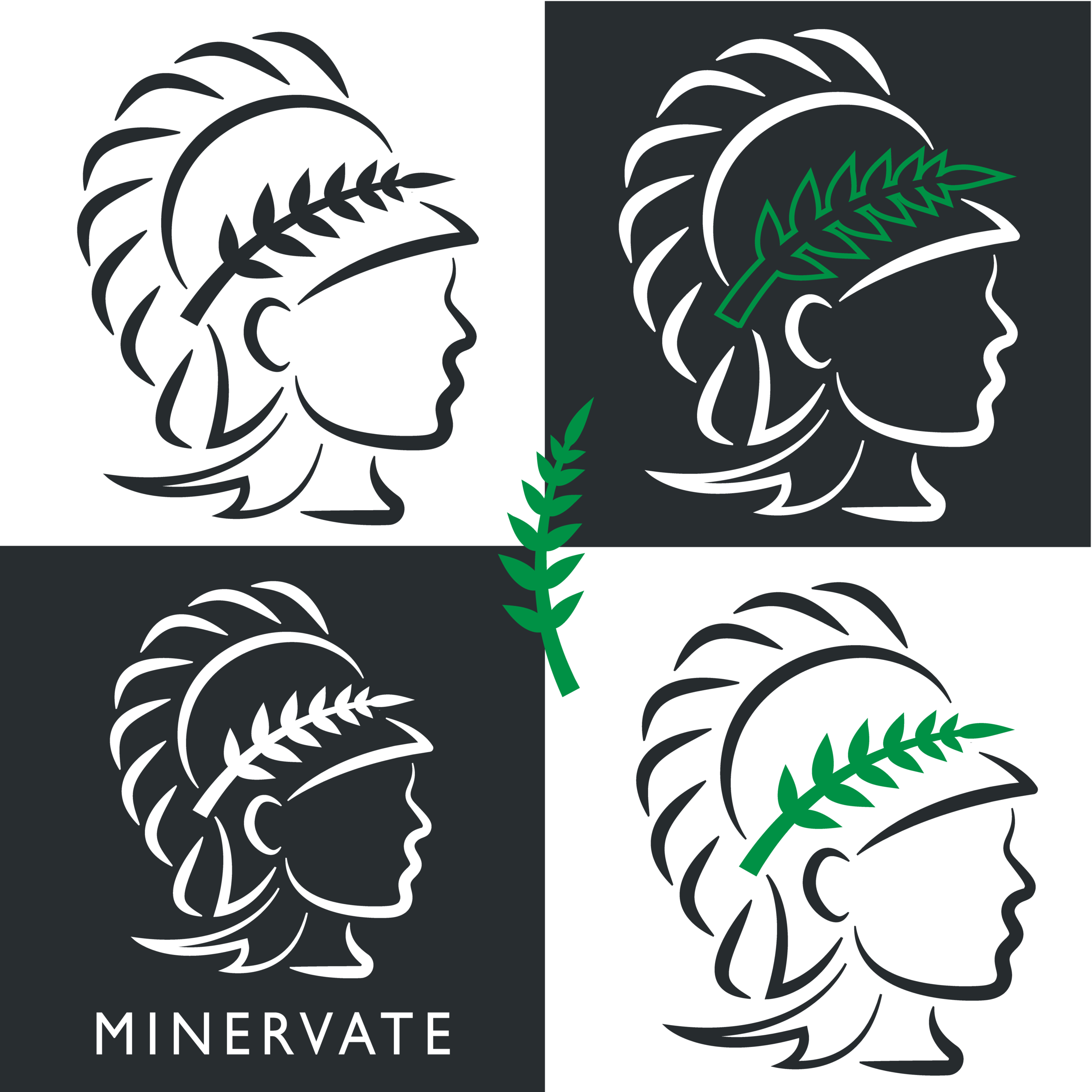 Logo Design Variations for a School in Yorkshire