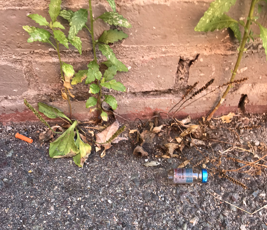 drug addicts are using cutillo park and leaving their needles behind on the ground