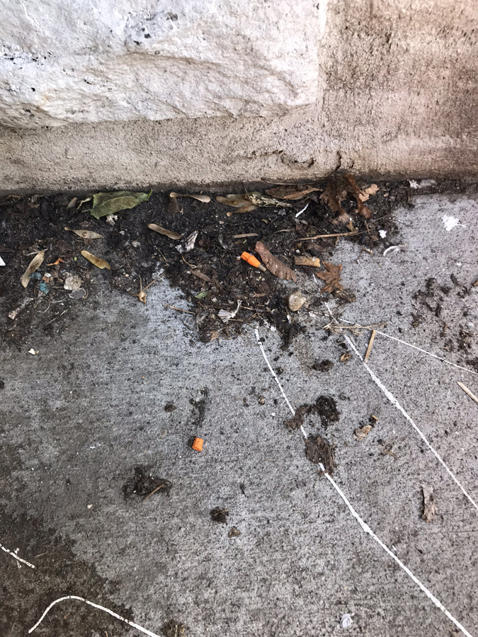 syringes left on ground at cutillo park