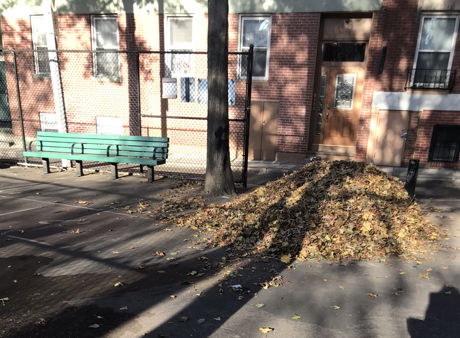 leaves in fall are not being cleaned up, this photo shows a big pile blown by wind into a doorway