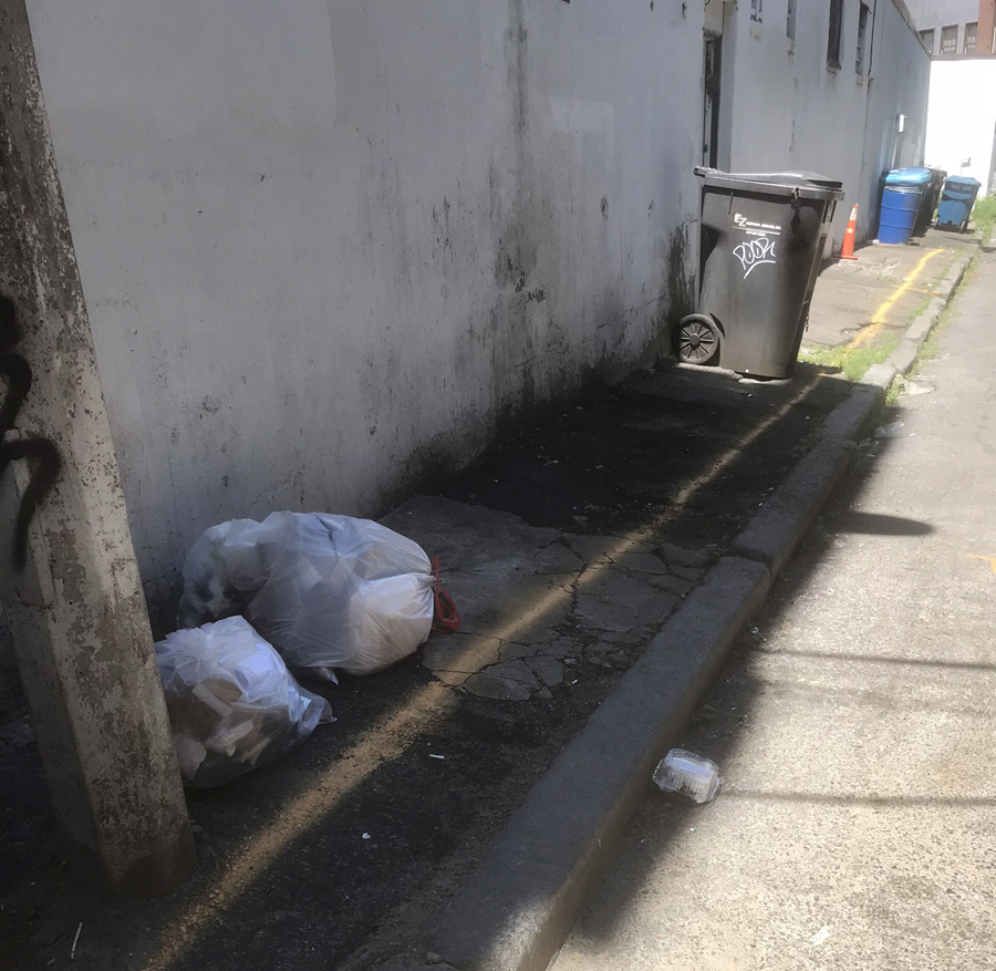 trash bags left along the curb by cutillo park