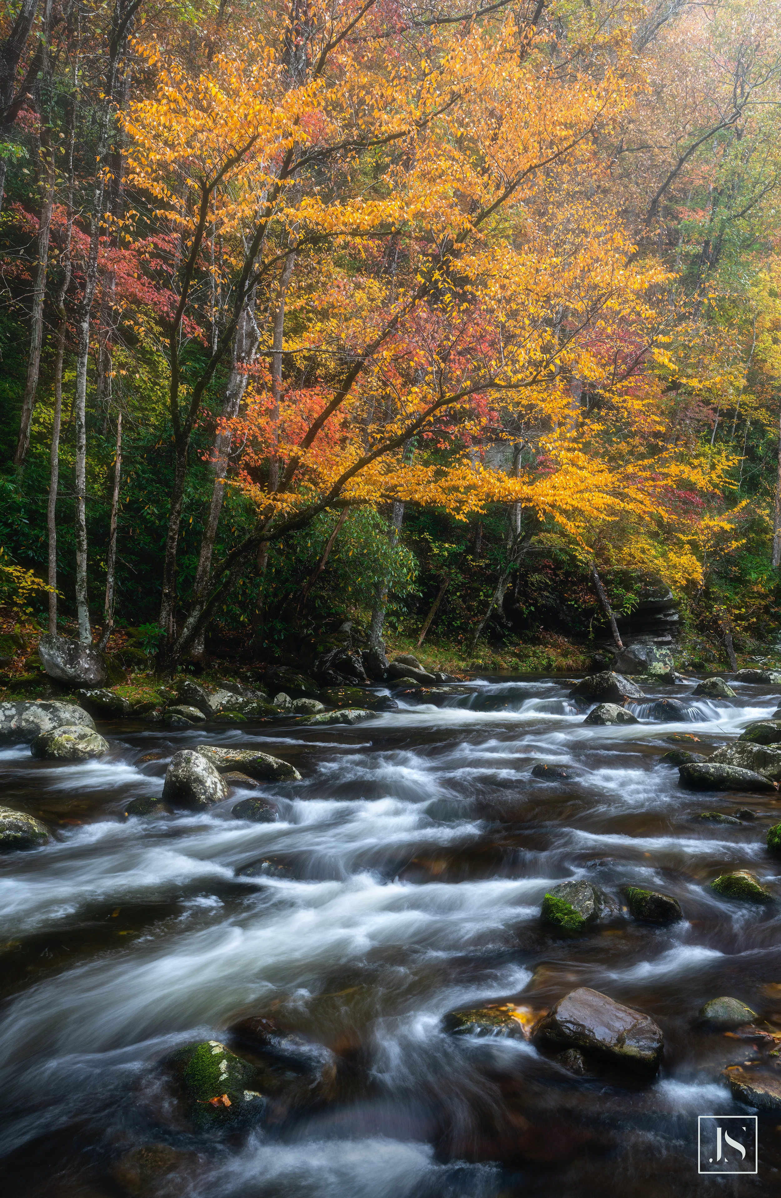 The Little River