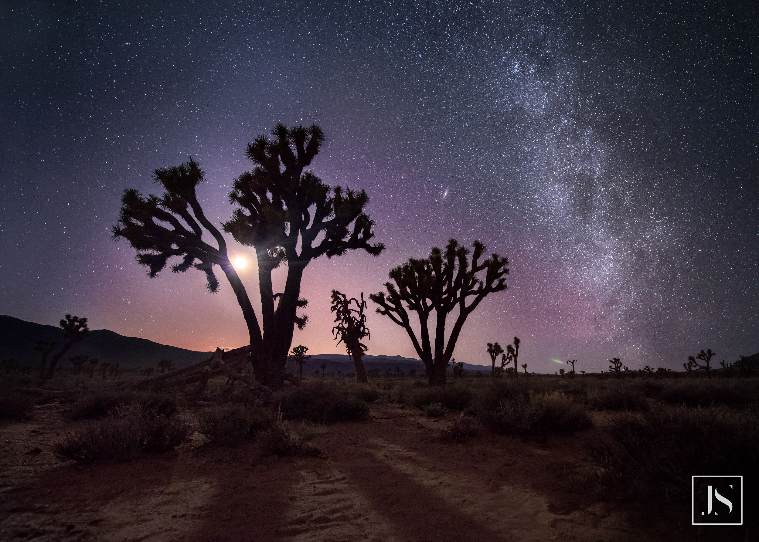 milky_way_joshua_tree.jpg