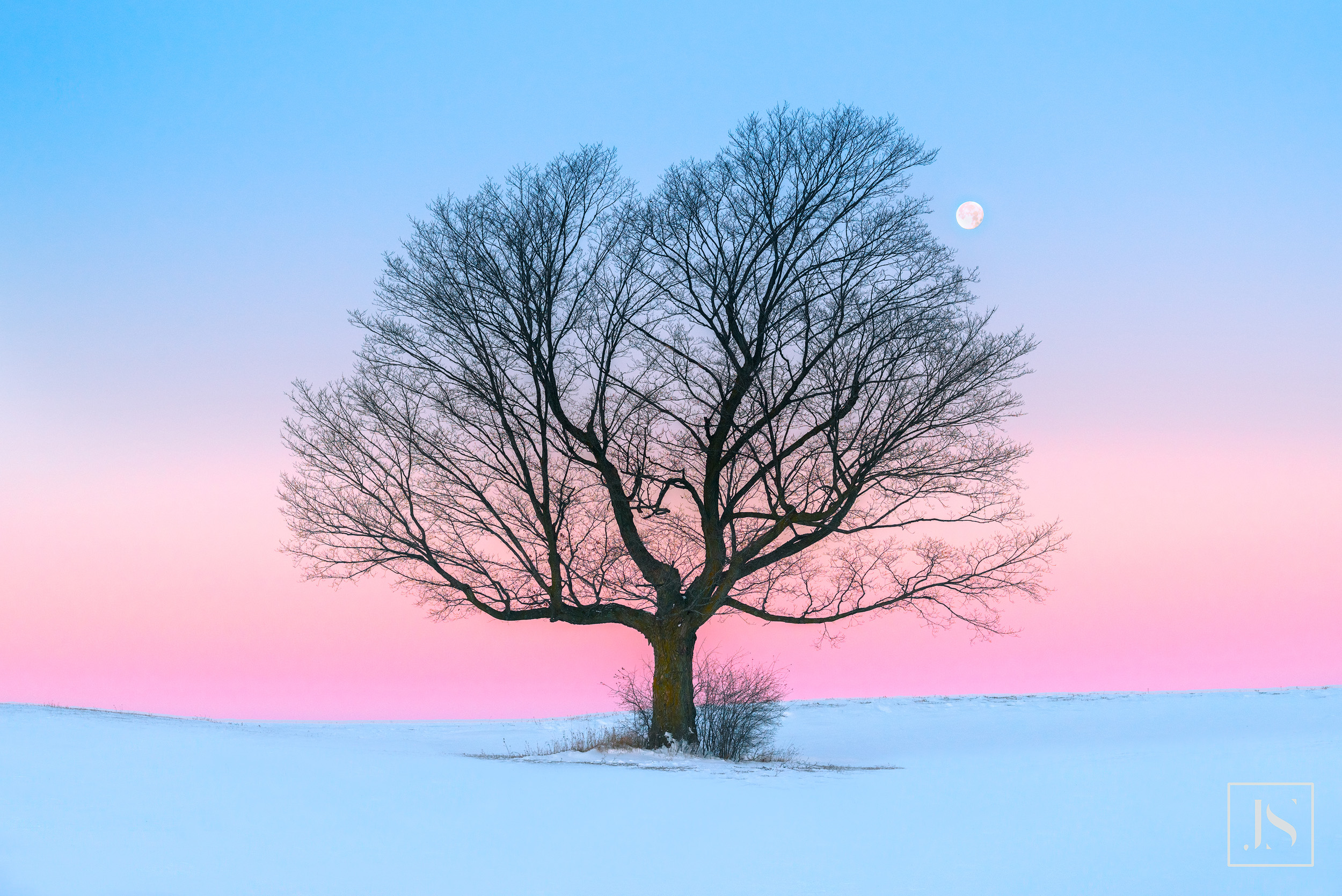 Moment of Calmness-WI 2016