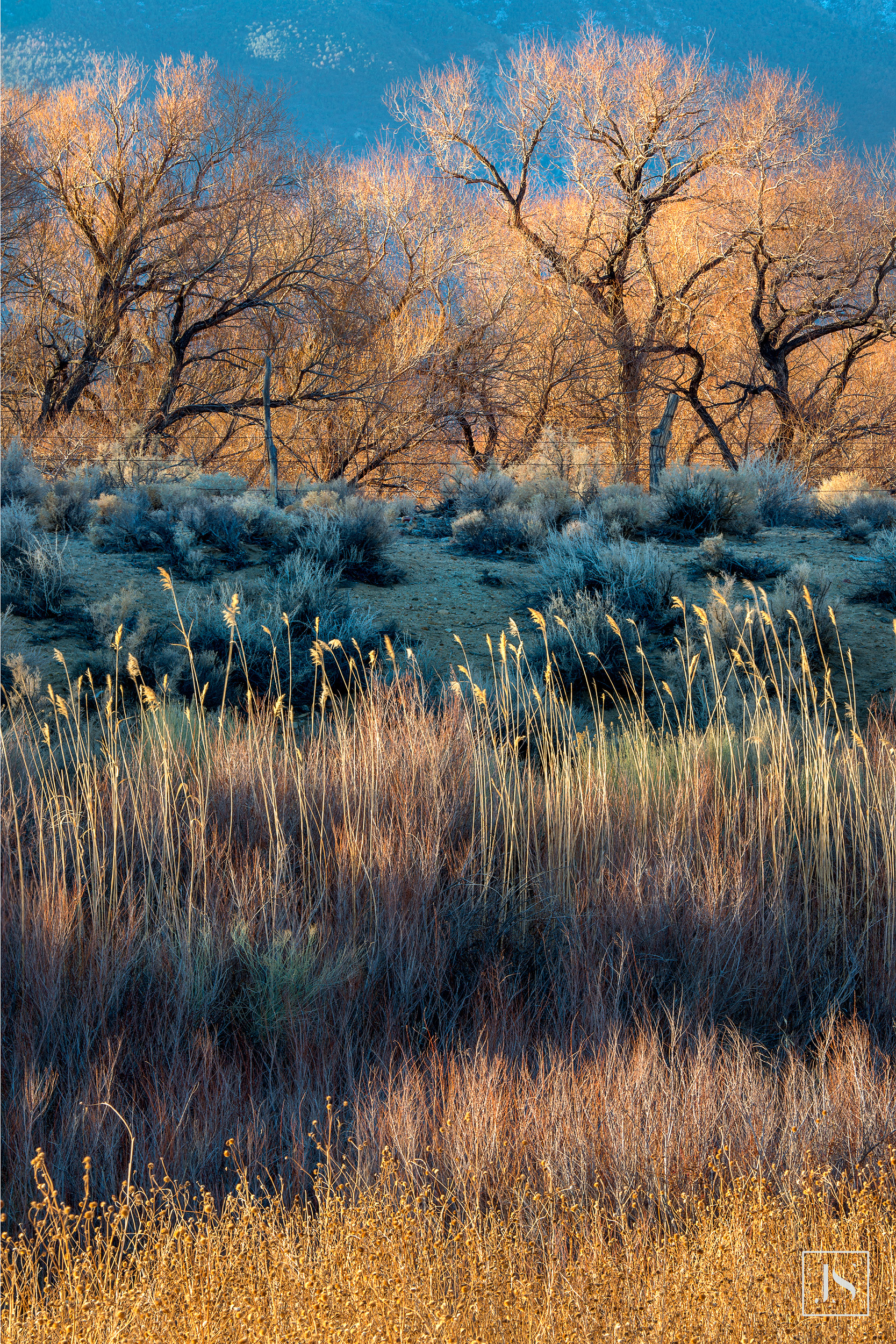 Owens Valley 2, Eastern Sierra-2015