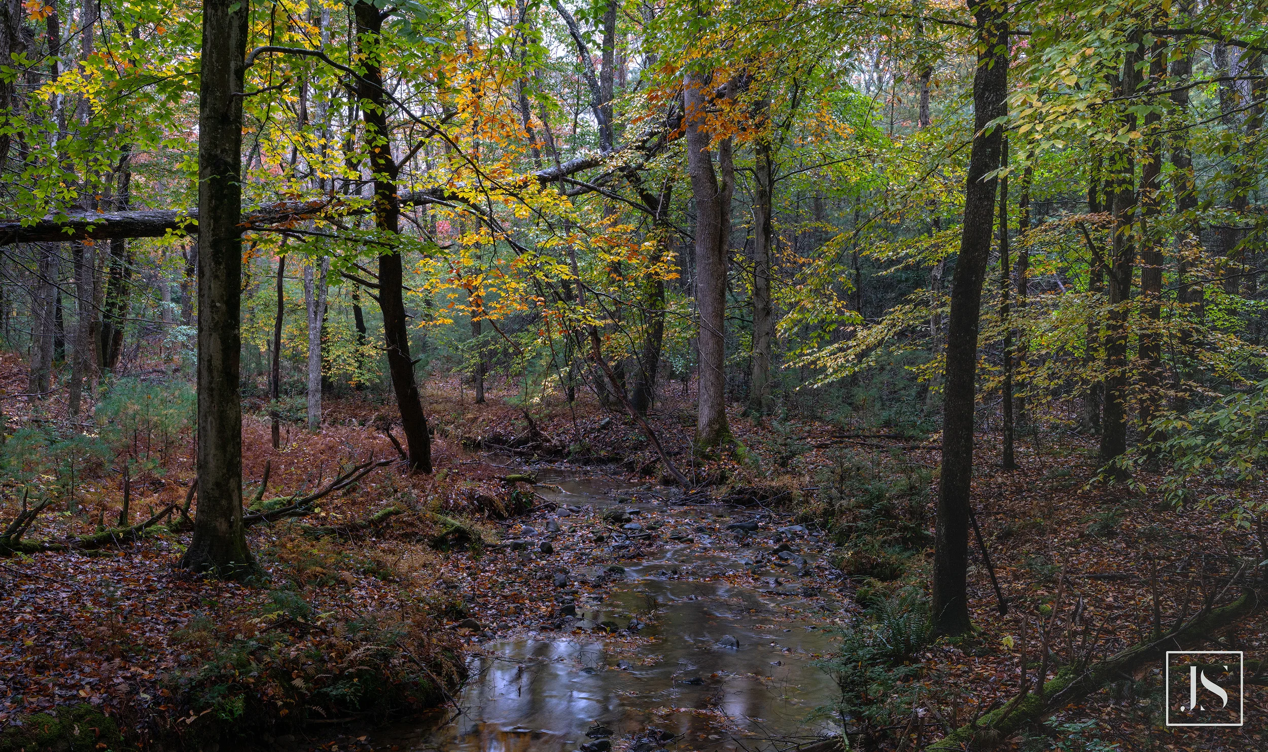 The Creek