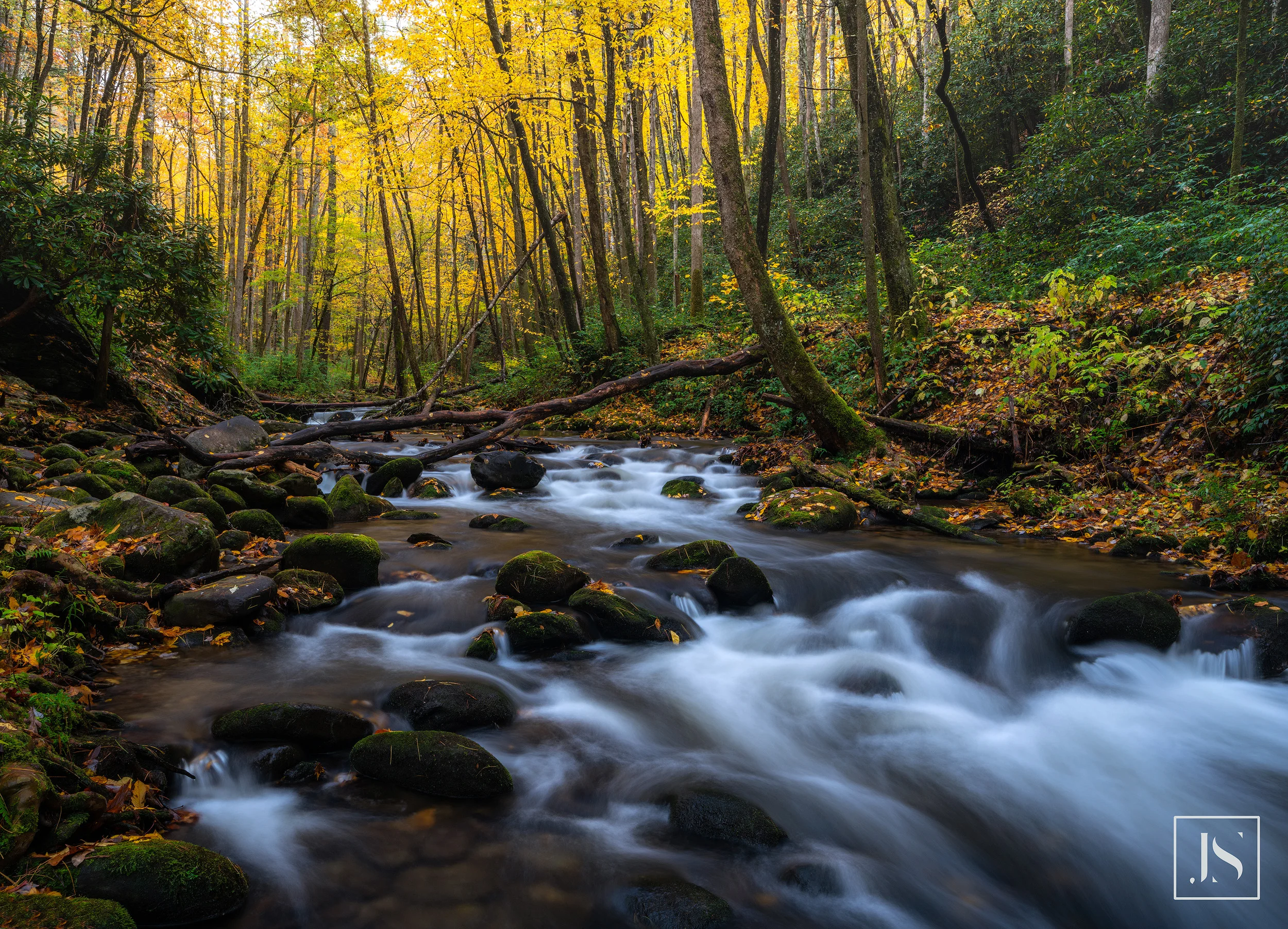 White Oak Flats Falls