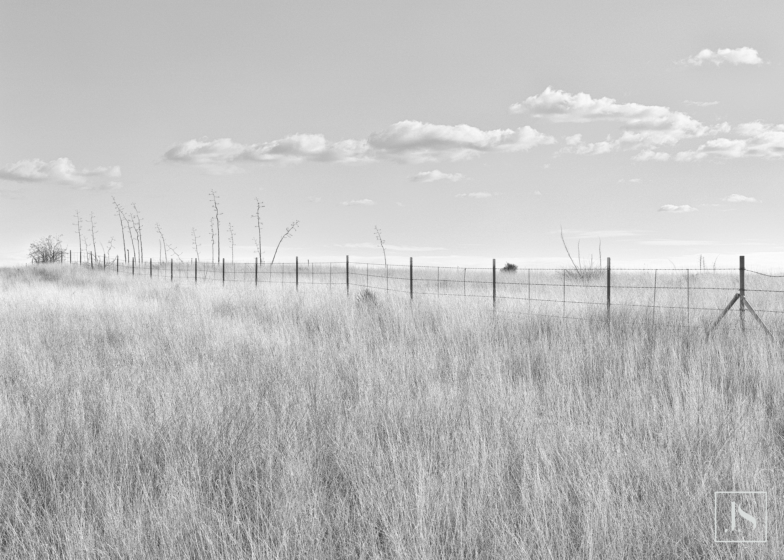 Fence Line-Sonoita, AZ 2000