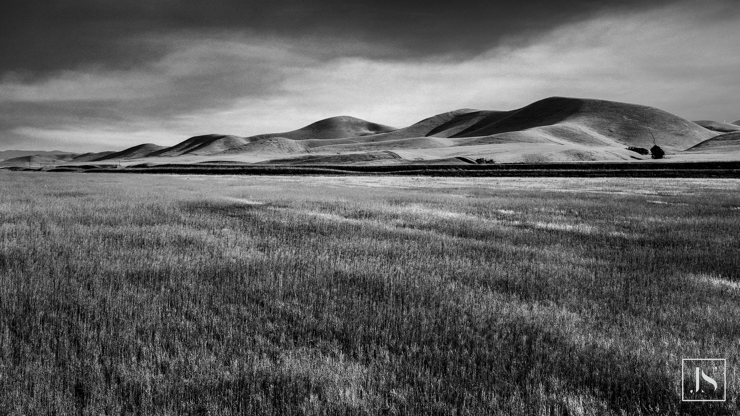 Wheat Fields