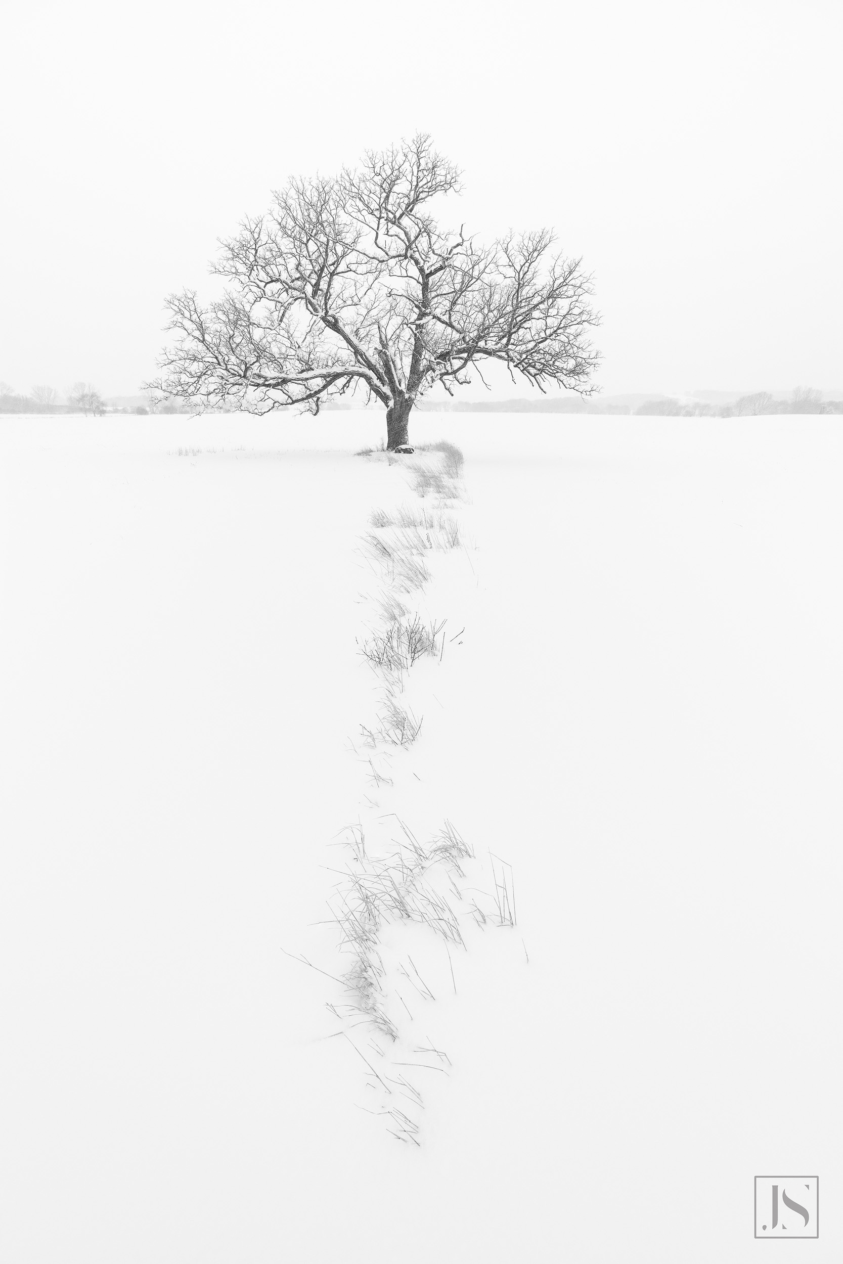 Snowprints