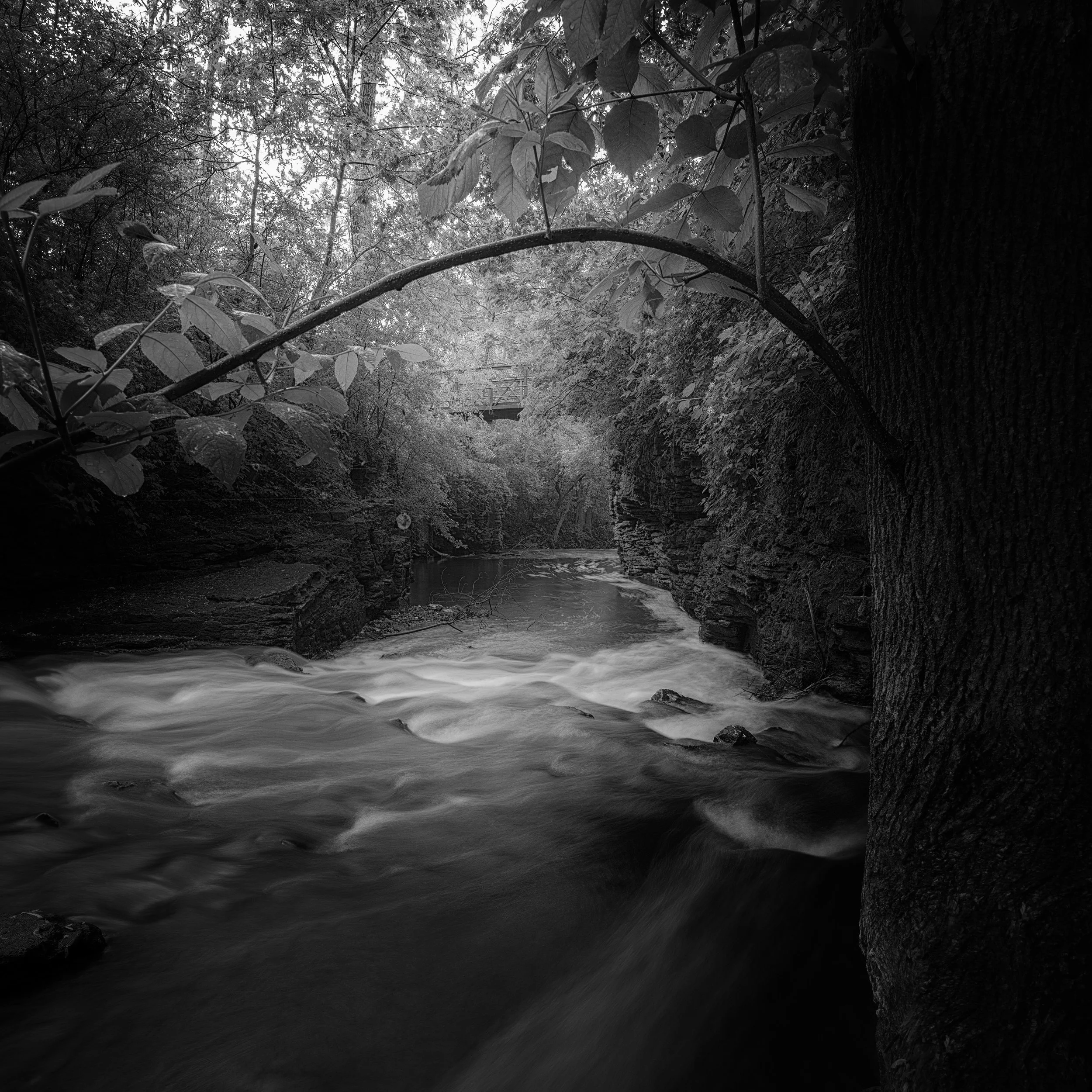 _DSC9573-3-copy.jpg