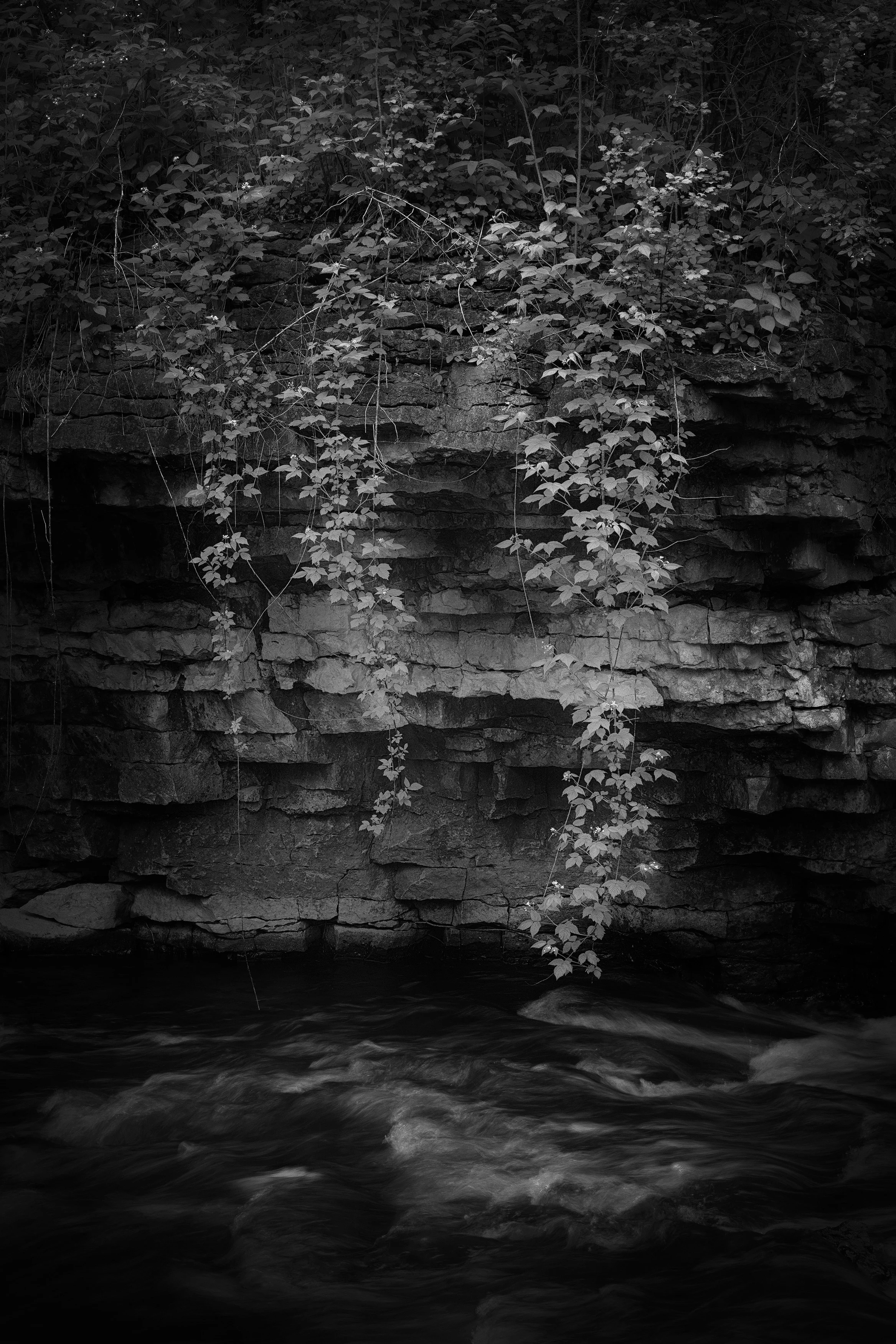 _DSC9723-3-copy.jpg