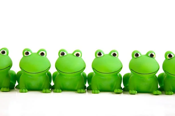 Find Freddy the Frog