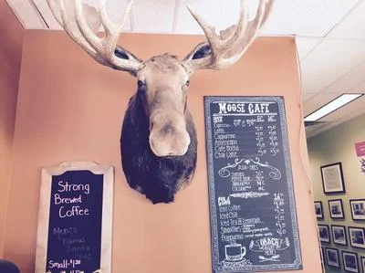 moose cafe.jpeg