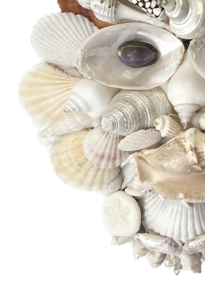 Screen Shot 2023-02-17 at 2.35.37 PM.png