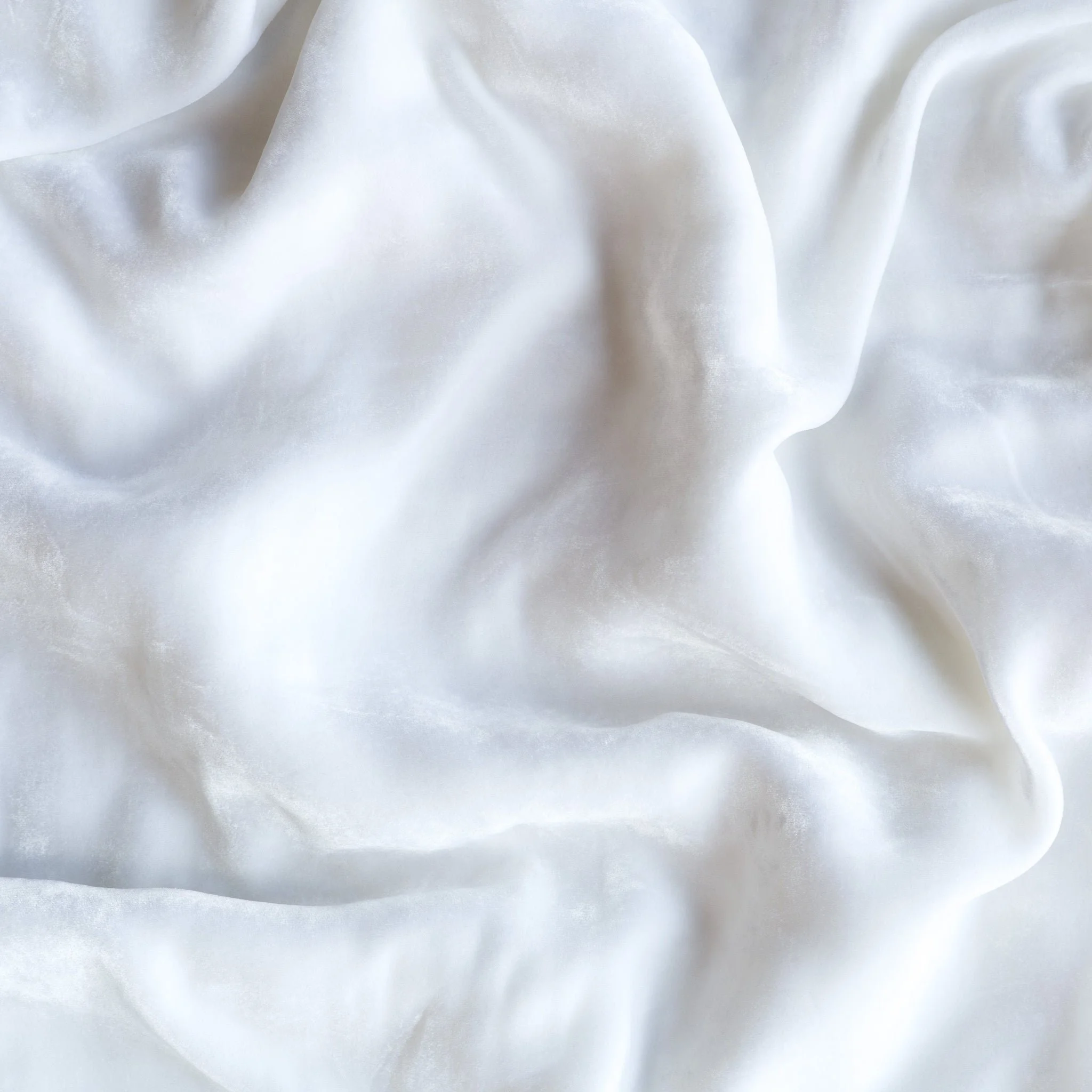 Silk_Velvet_White_01_028c40b1-0123-47f0-b7fe-ffc99c47dbf3_2048x2048.jpg