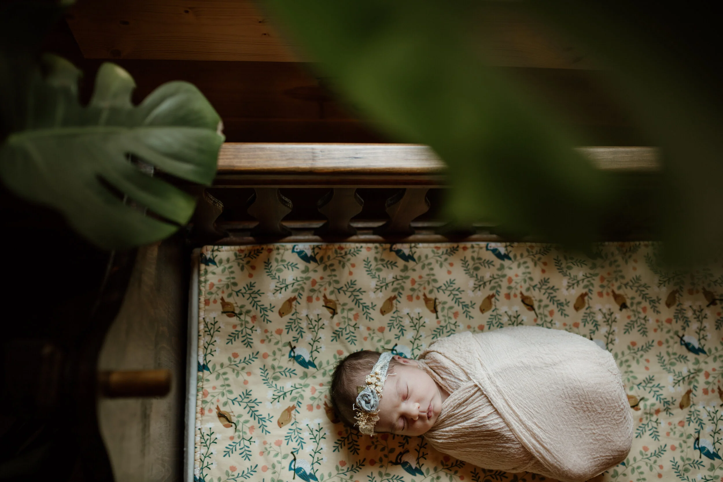 Morgantown WV Photographer-135.jpg