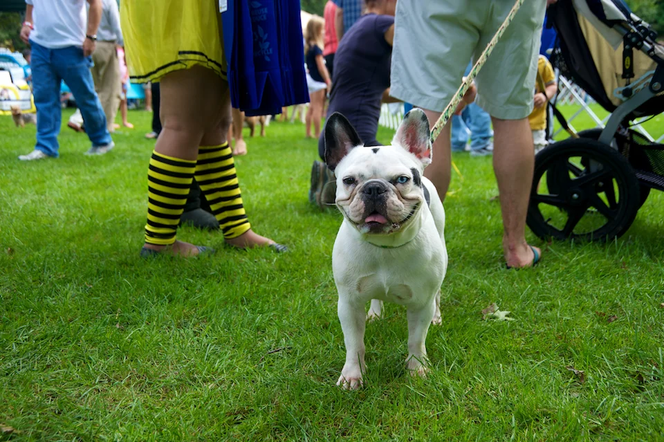 20110925_greendog_076.jpg