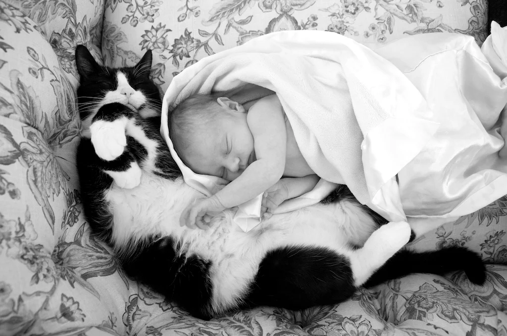 20110115_mmerma_729_1_of_8.jpg