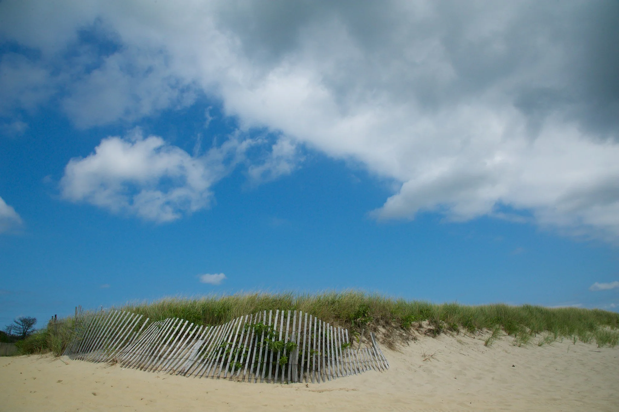 20120816_arourk__0781.jpg