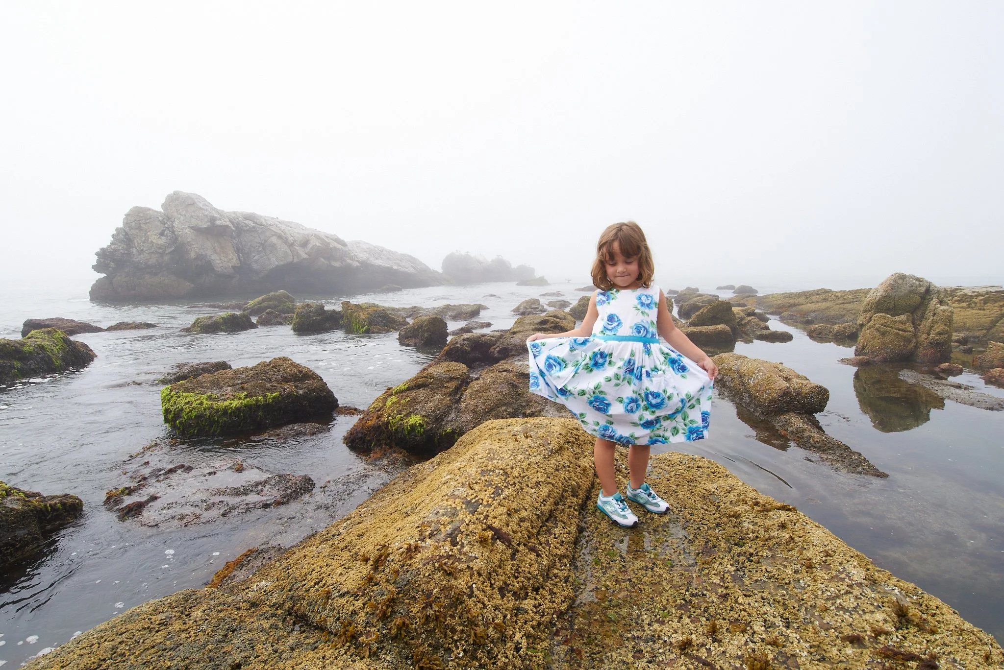 Girls stands on rock surrounded by water on Narragansett during a family photo session with lifestyle photographer Pamela Einarsen.