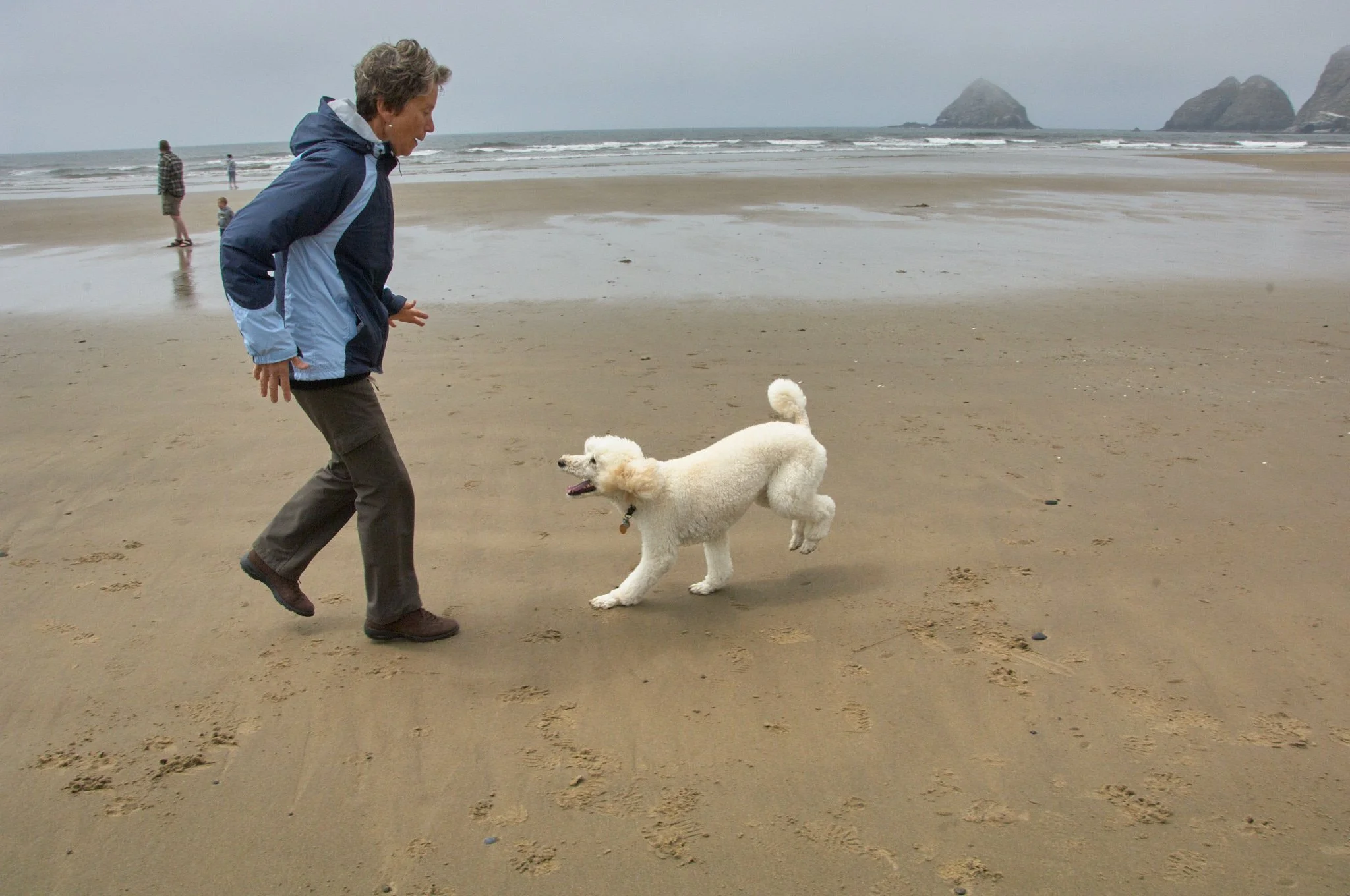 Man plays with dog by Haystack Rock in Oregon photo session with Pamela Einarsen.