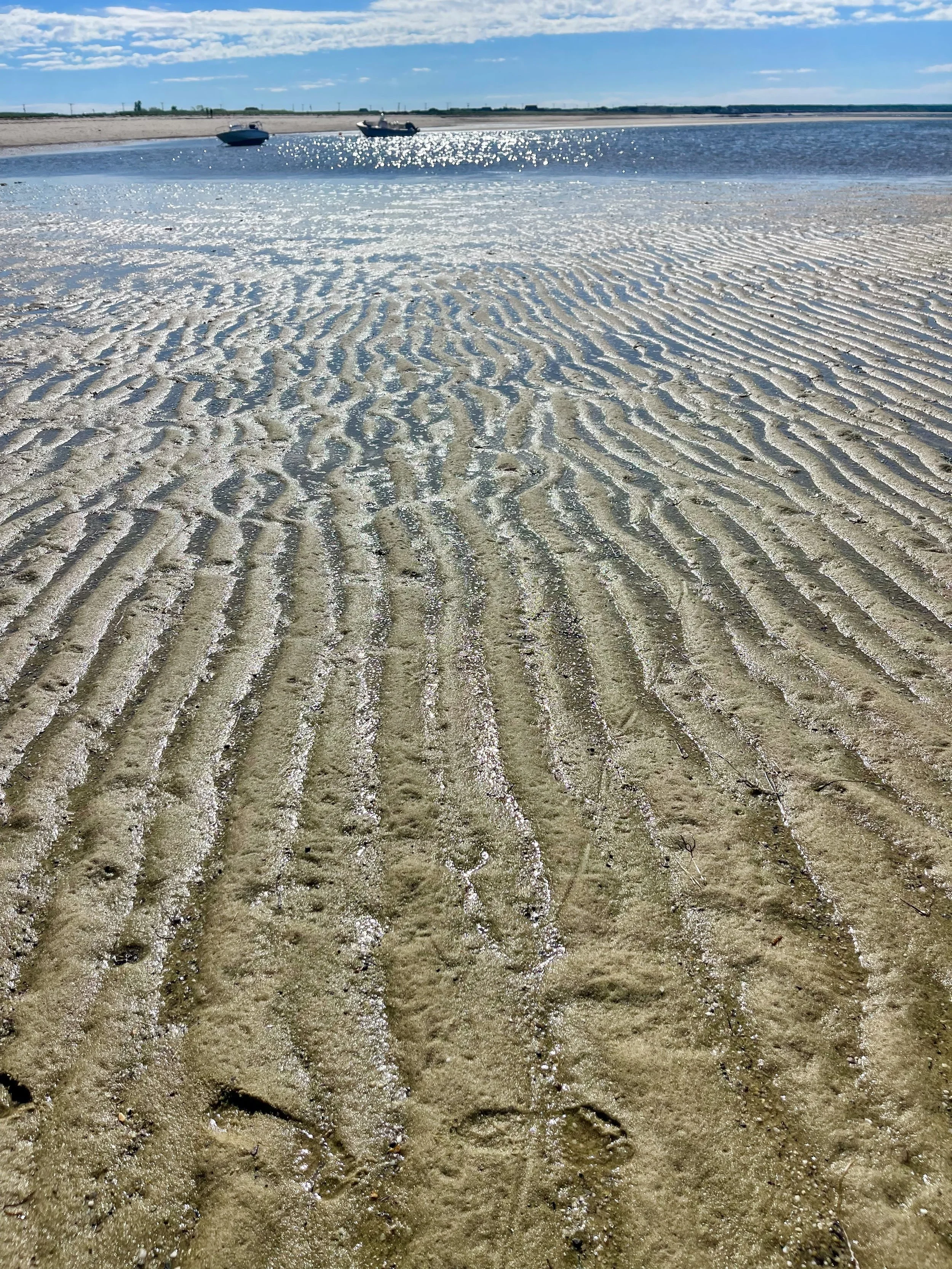  Photo of patterns in the sand at beach by family photographer Pamela Einarsen.  