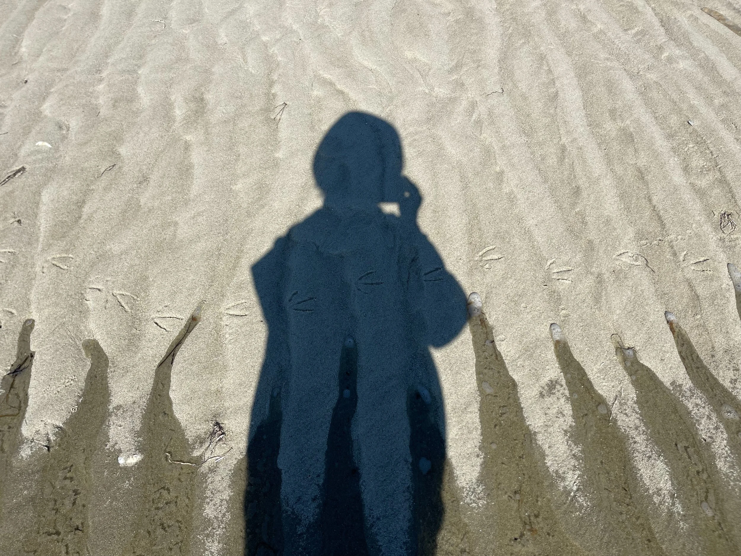 Photo of patterns in the sand at beach by family photographer Pamela Einarsen. who you see in sihouette.