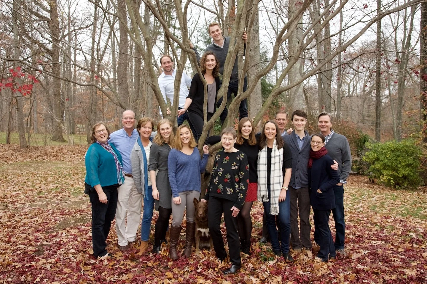 Extended family posed photo in Wilton tree at a fall photo session with photographer Pamela Einarsen