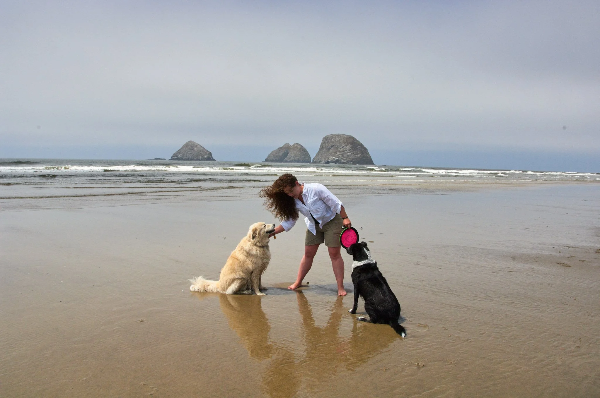 Woman plays frisbee with her dogs on the coast of Oregon.