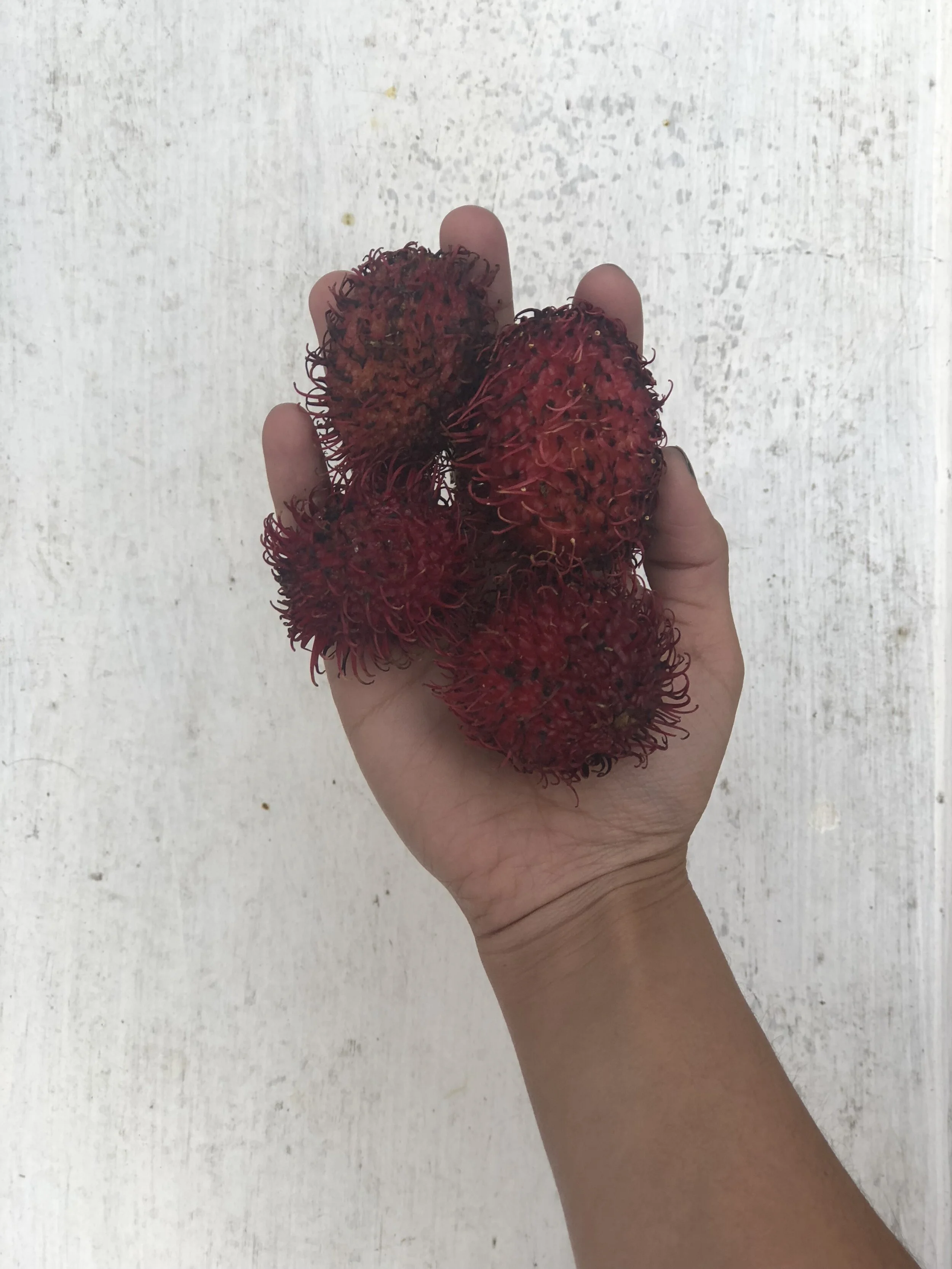 Fruits that Heal  ✺  Ecuador's Treasures